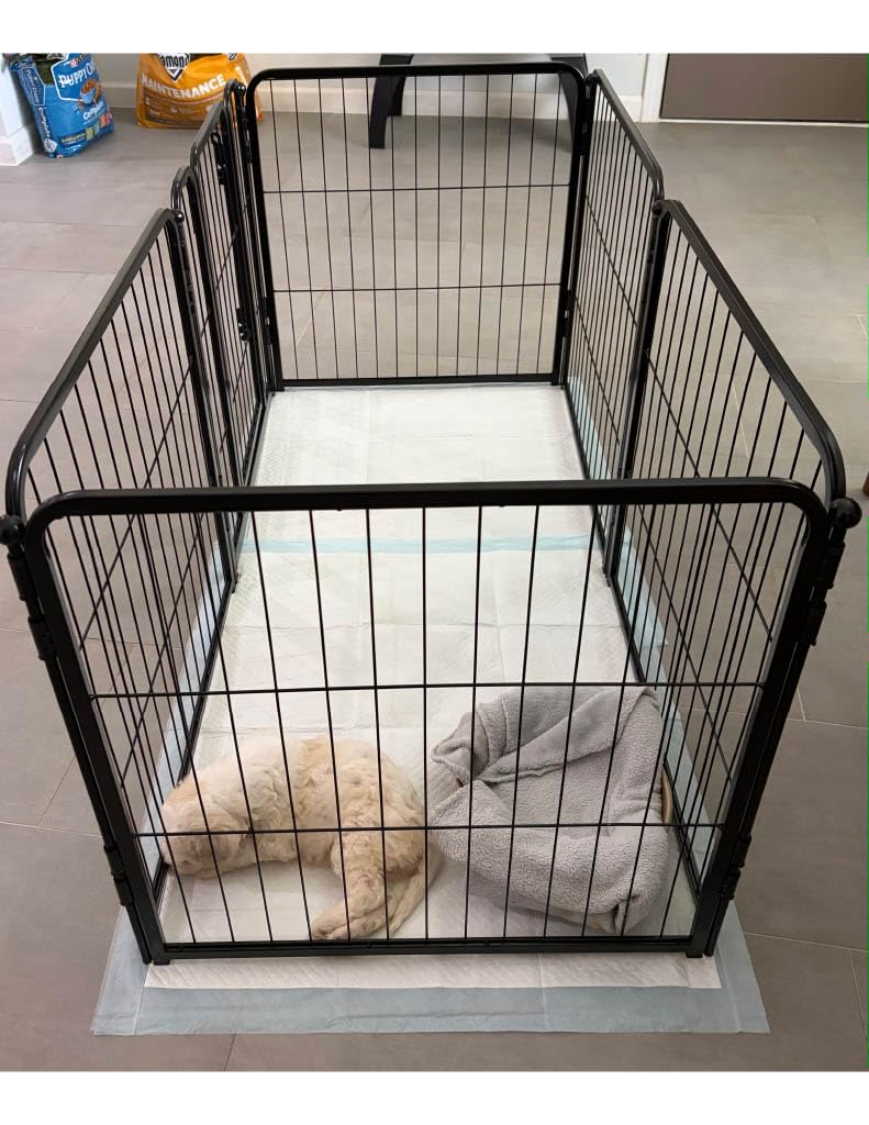 FXW Homeplus Unleashed Indoor Dog Playpen - Stress-Free and Safe Play, Heavy Duty 24 Inch 6 Panels Dog Pen for Puppy and Small Dogs, Black | Patented customer photo 2