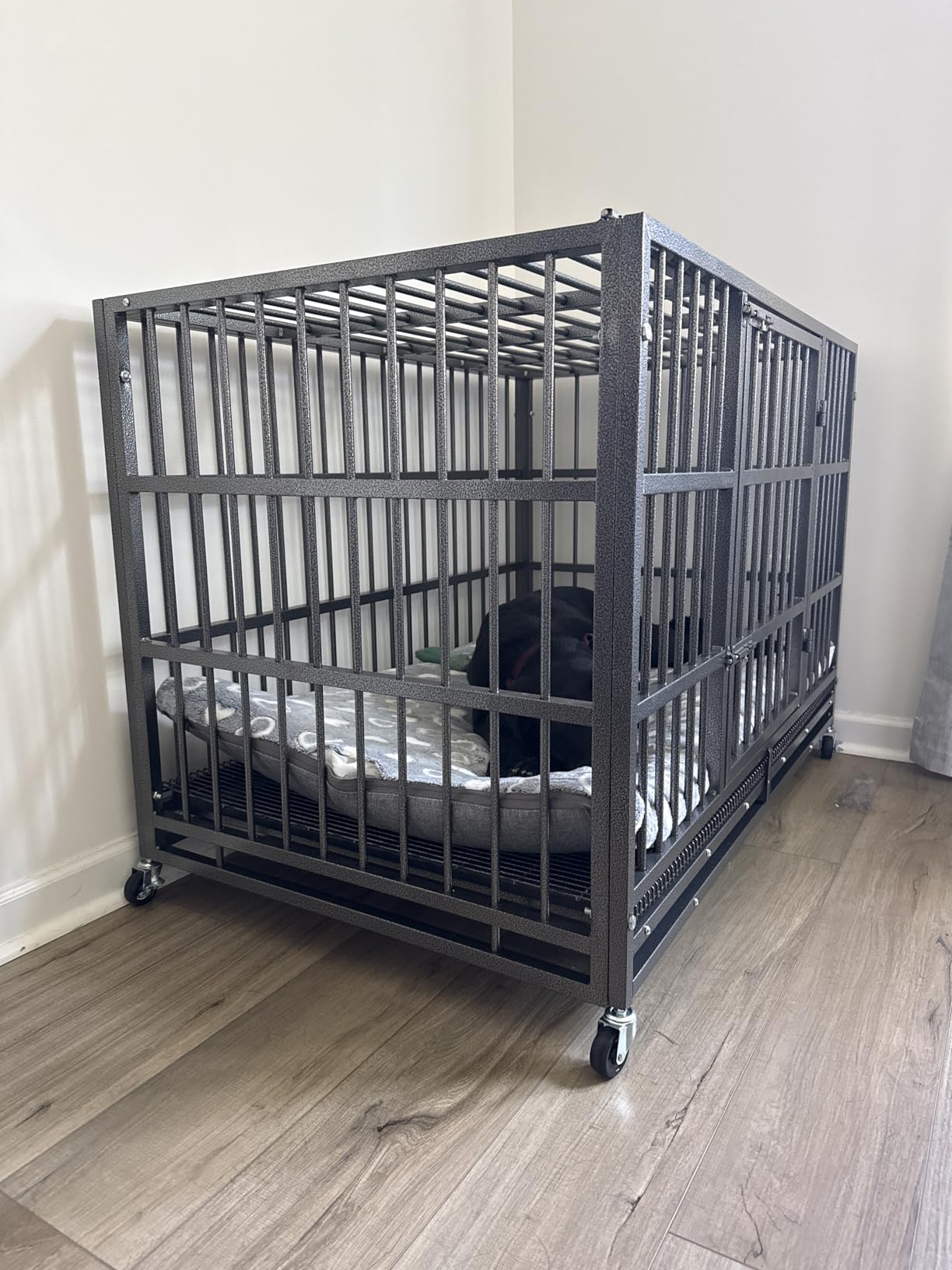 BOLDBONE 48 inch Heavy Duty Indestructible and Escape-Proof Dog Crate Cage Kennel for Large Dogs, High Anxiety Dog Crate with Removable Wire Trays and Wheels, Extra Large XL XXL, Black customer photo 1