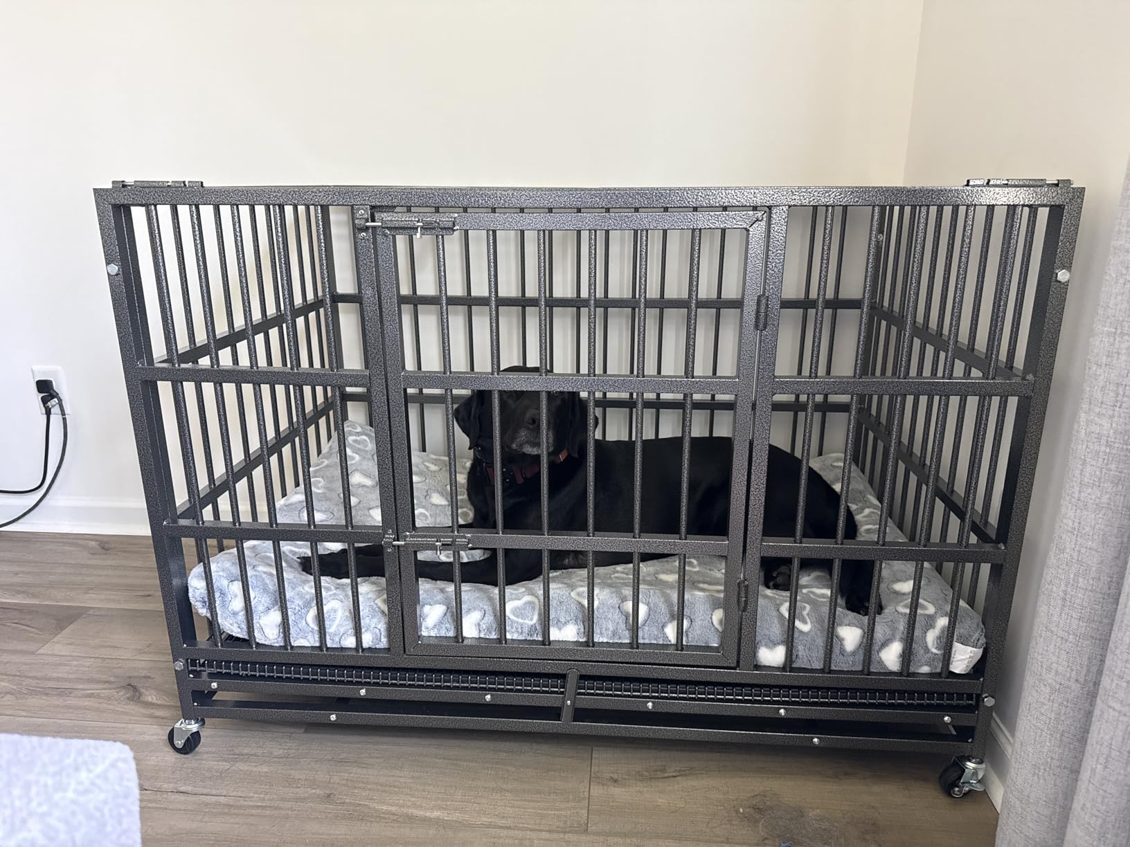 BOLDBONE 48 inch Heavy Duty Indestructible and Escape-Proof Dog Crate Cage Kennel for Large Dogs, High Anxiety Dog Crate with Removable Wire Trays and Wheels, Extra Large XL XXL, Black customer photo 2