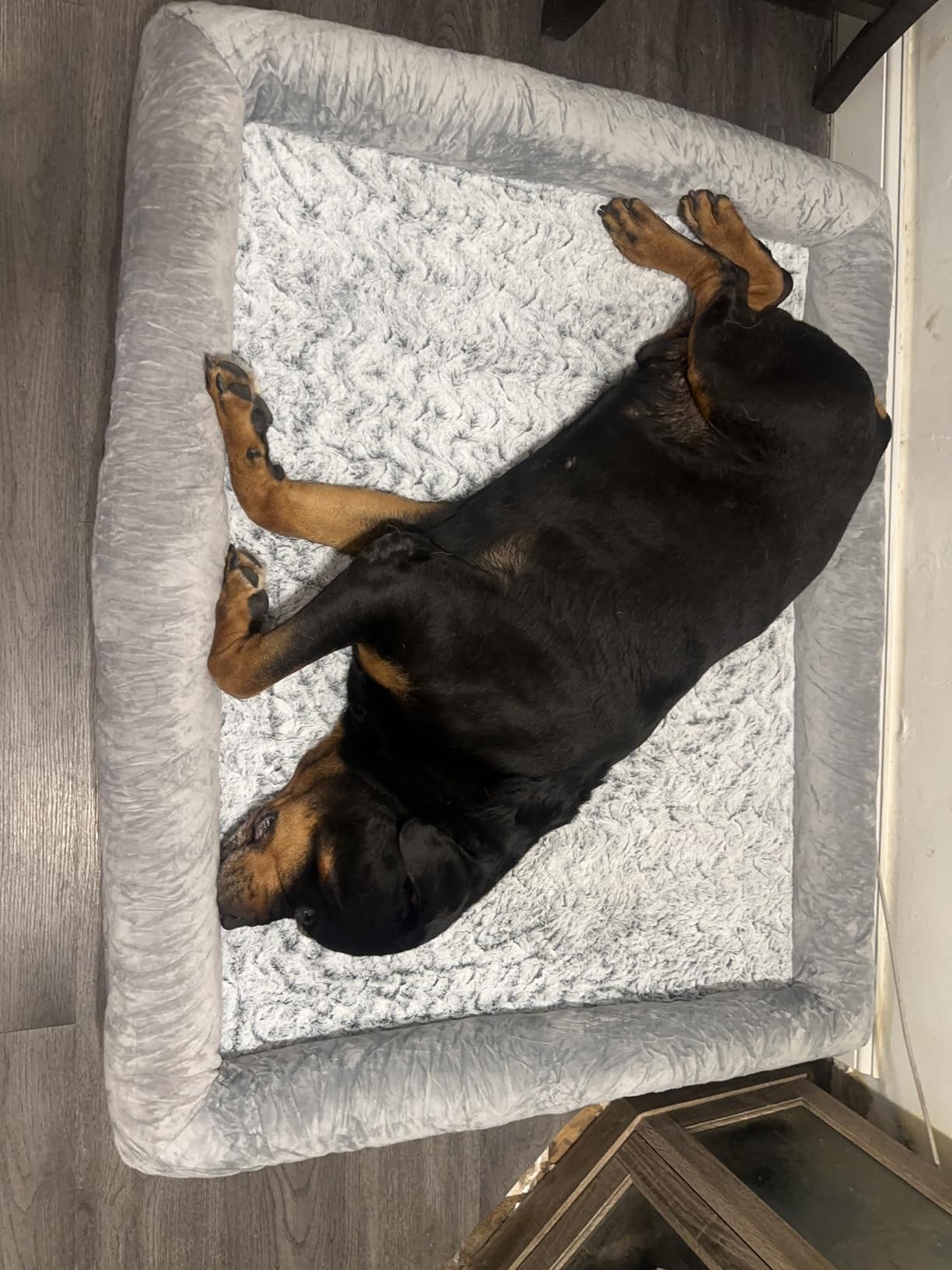 WNPETHOME XL Extra Large Dog Bed, Washable Dog Couch with Removable Waterproof Cover, Orthopedic Large Pet Sofa Bed with Bolster Sides for Sleeping customer photo 1
