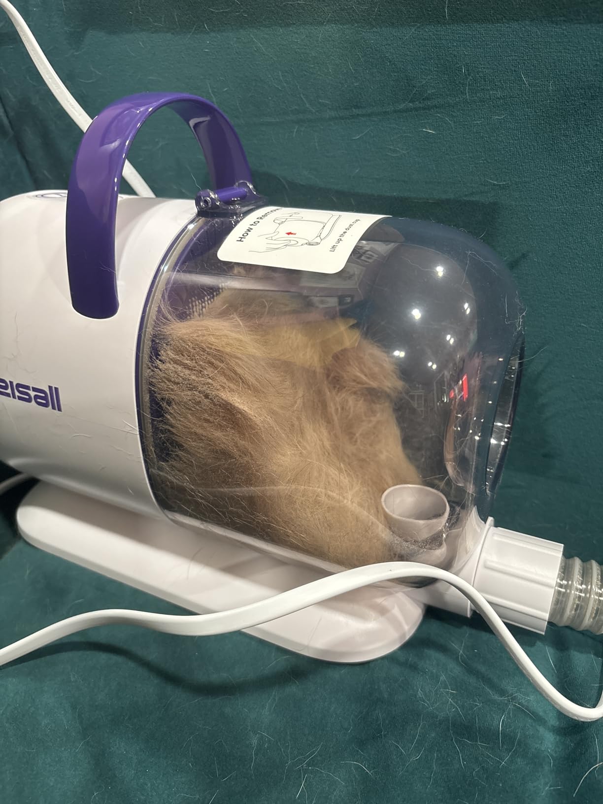 oneisall Dog Grooming Vacuum Kit: 15000Pa Shedding Brush with Grooming Tools, 3 Suction Low Noise, for Pet Thick and Undercoat, 1.5L Dust Cup, Dog Hair Vacuum, Home Cleaning, LM5 customer photo 2
