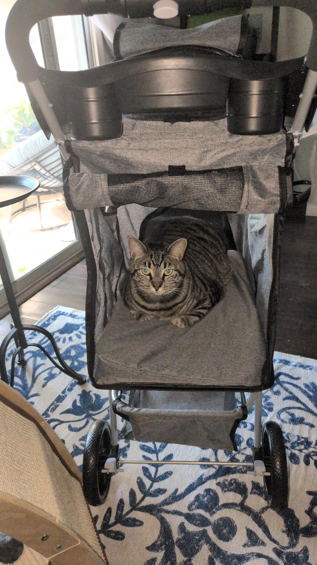 MoNiBloom Foldable Pet Stroller with Weather Cover, 3 Wheels Pet Strolling Cart for Small/Medium Dogs and Cats with Storage Basket and Cup Holder, Breathable and Visible Mesh for All-Season, Black customer photo 2