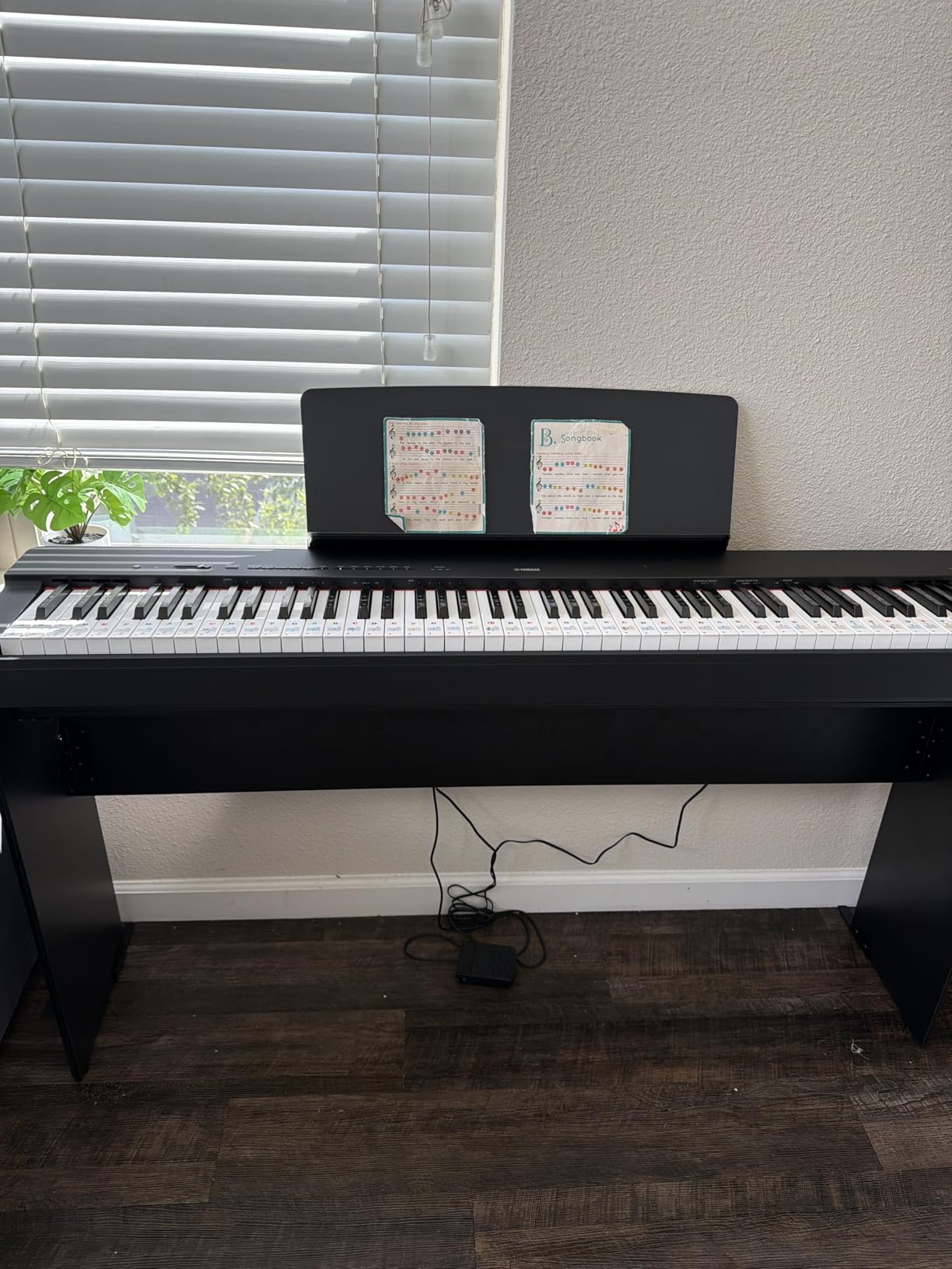 Yamaha P225 88-Key Digital Piano with Weighted Keys, Portable Design, Built-In Speakers, Black customer photo 2