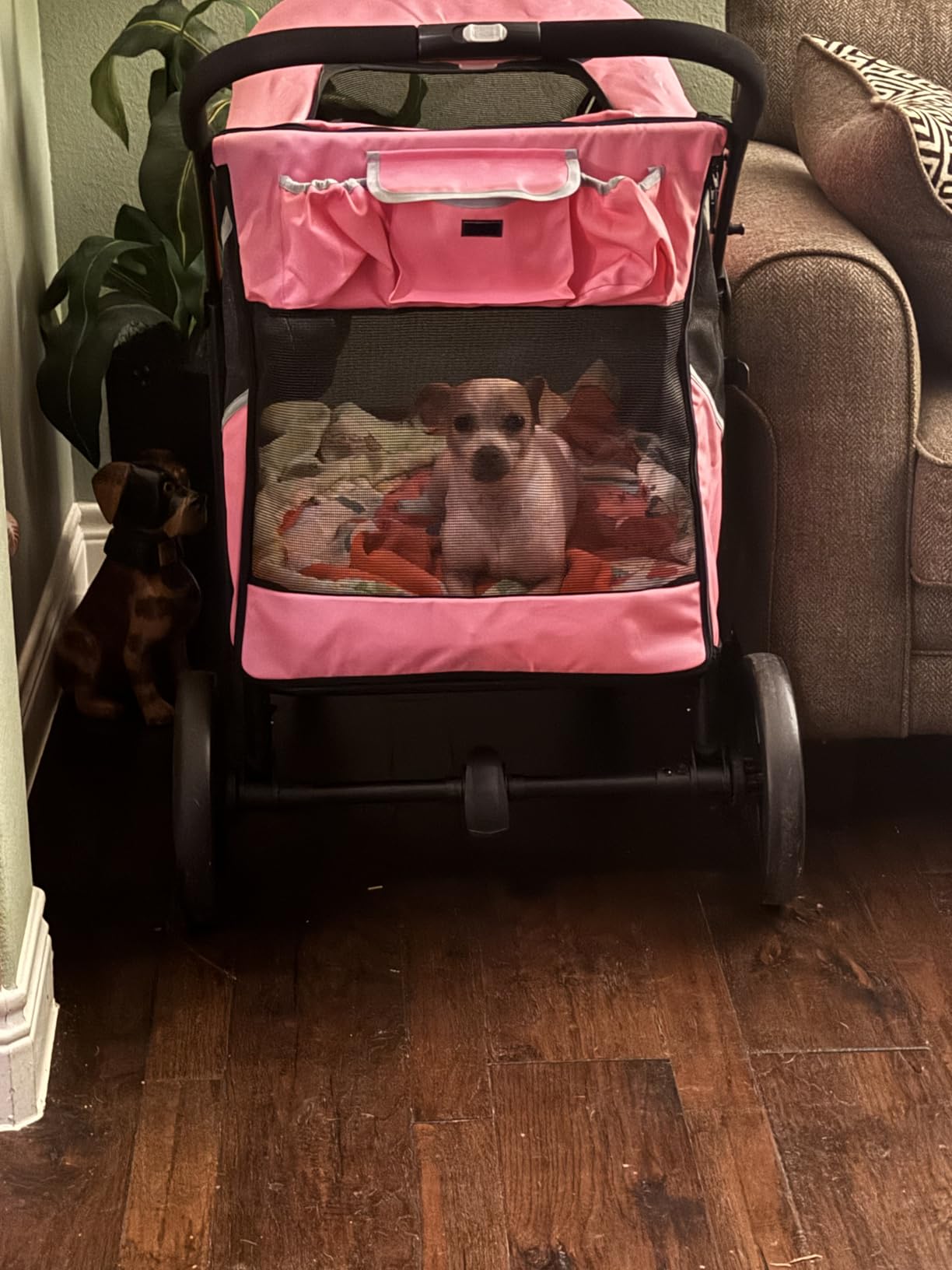 Petbobi Dog Stroller for Large & Medium Dogs - Easy Fold Dual Entry Pet Stroller with One-Foot Brake, All Terrain Wagon Cart with Air Mesh, Ideal for Large Senior Pets up to 80 lbs, Black customer photo 1