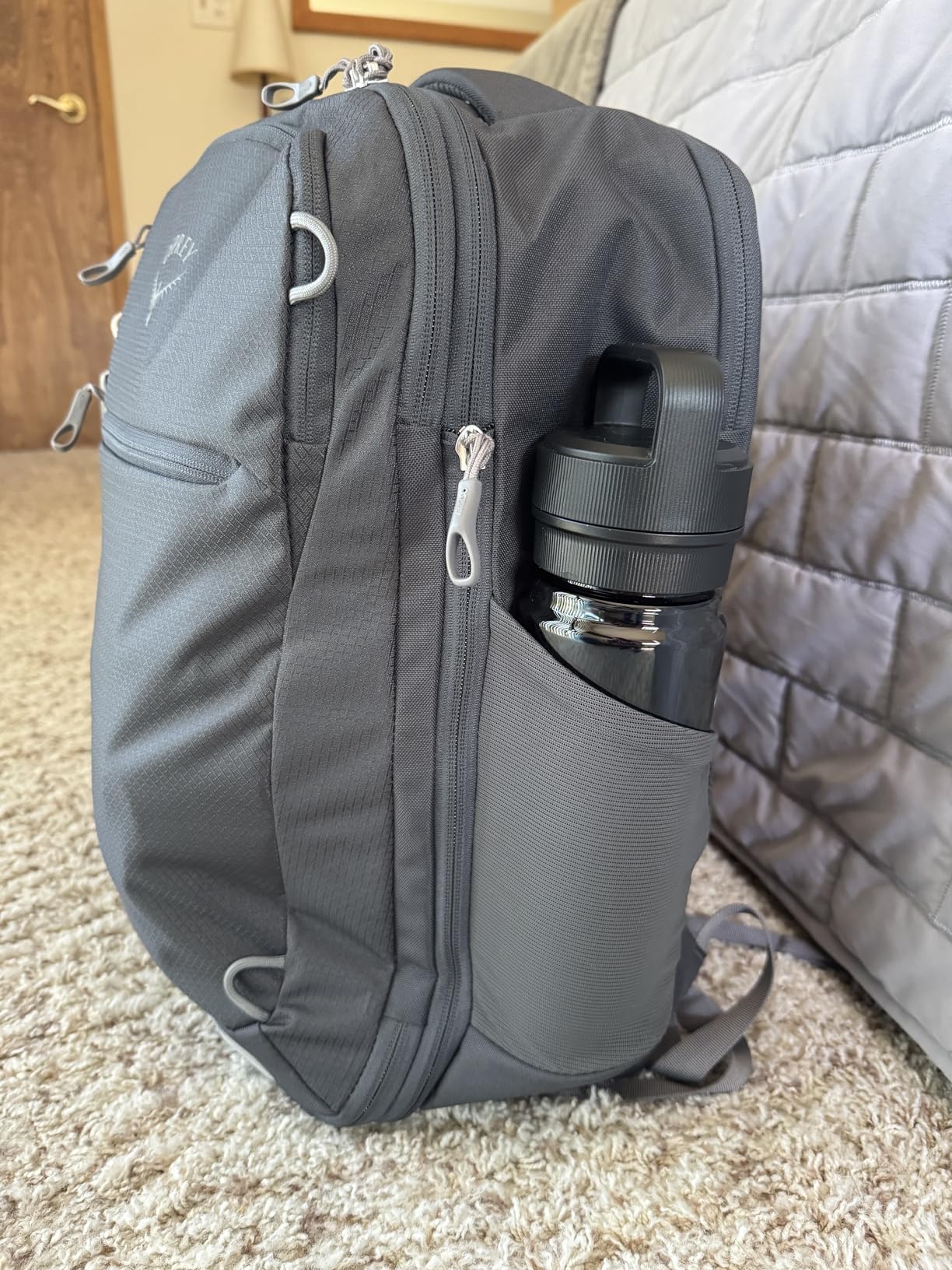 Osprey Daylite Expandable 26+6 Travel Pack, Blue Spikemoss/Alkaline customer photo 2