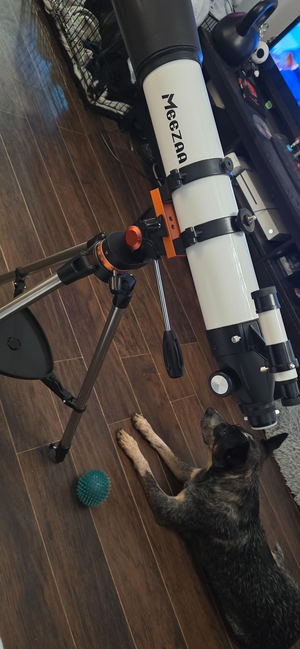 MEEZAA 90mm Aperture 800mm Refractor Telescope for Adults Astronomy Beginners customer photo 1