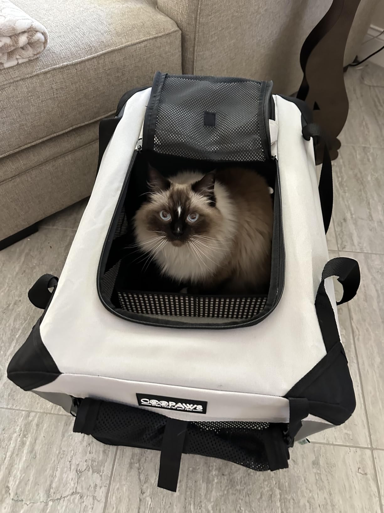 JESPET Soft Dog Crates Kennel for Pets, 3 Door Soft Sided Folding Travel Pet Carrier with Straps and Fleece Mat for Dogs, Cats, Rabbit, Indoor & Outdoor Use customer photo 1