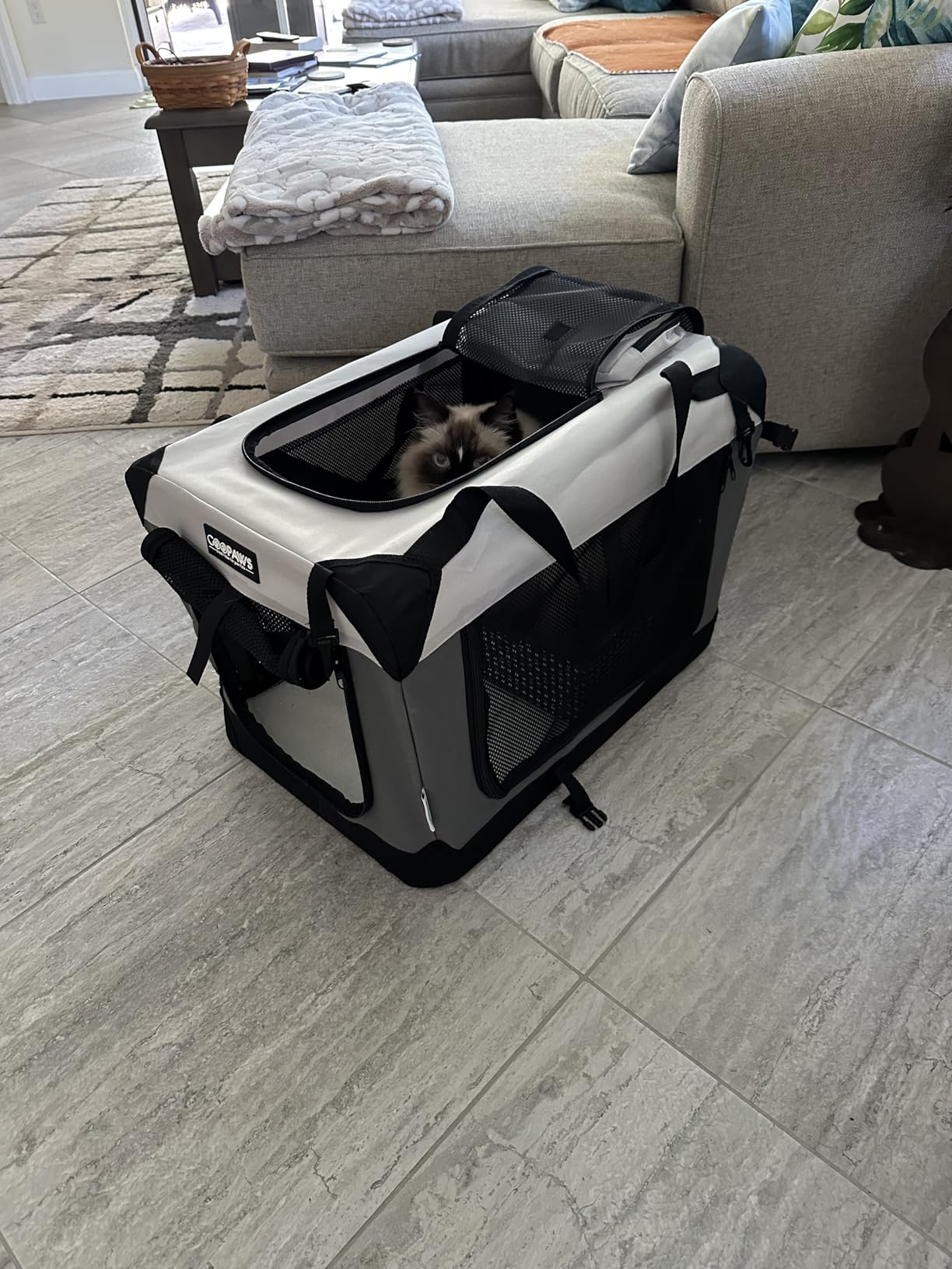 JESPET Soft Dog Crates Kennel for Pets, 3 Door Soft Sided Folding Travel Pet Carrier with Straps and Fleece Mat for Dogs, Cats, Rabbit, Indoor & Outdoor Use customer photo 2