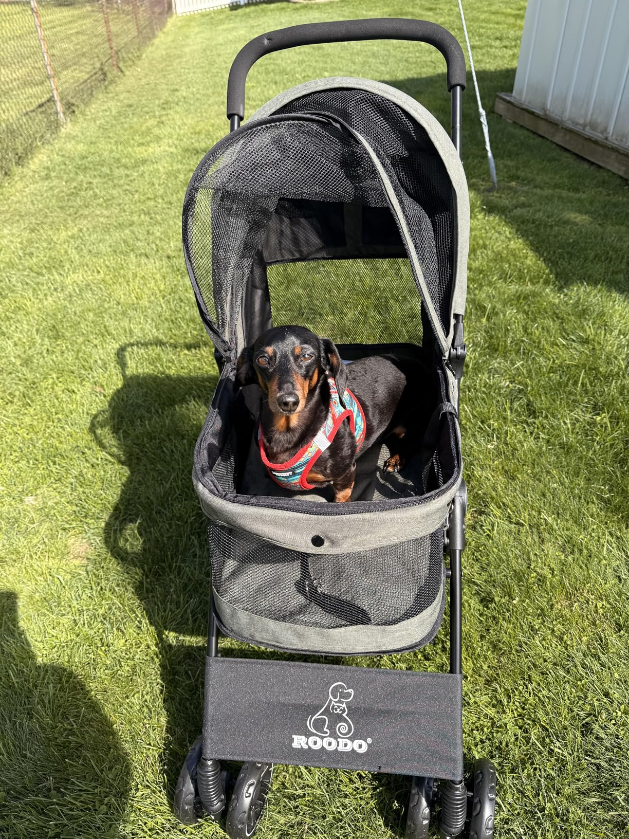 ROODO 4 Wheel Dog Cat Pet Stroller, Lightweight Foldable Compact Portable Jogger All Terrain Travel Pet Gear for up to 30lbs Medium Small Dogs Cats (Light Khaki) customer photo 2