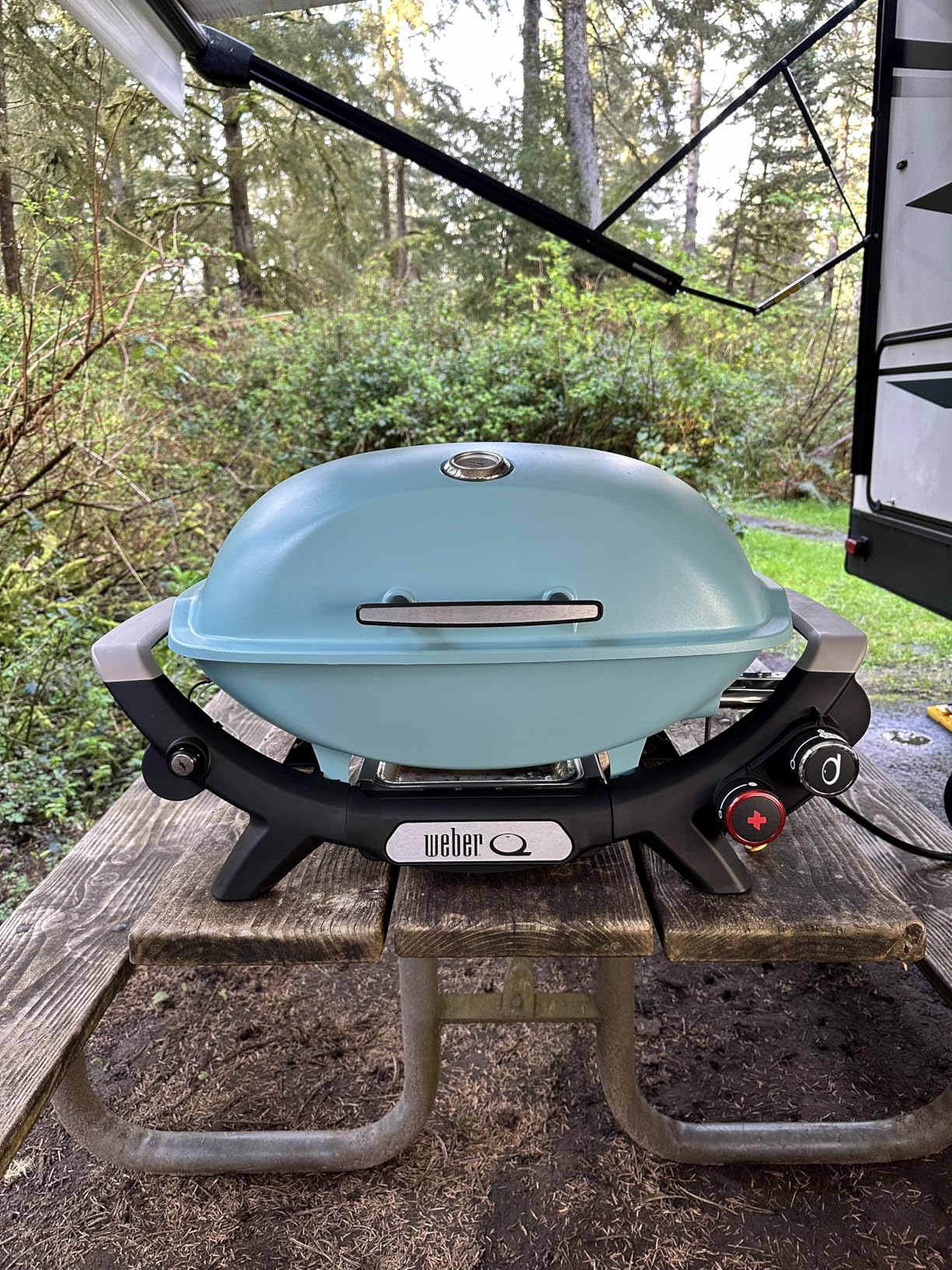 Weber Q 2800N+ Liquid Propane Portable Grill, Midnight Black - Wide 250-700F Temp Range with Plus Burner for Searing, Low-Temp Roasting & High-Dome Lid for Travel & Camping customer photo 1