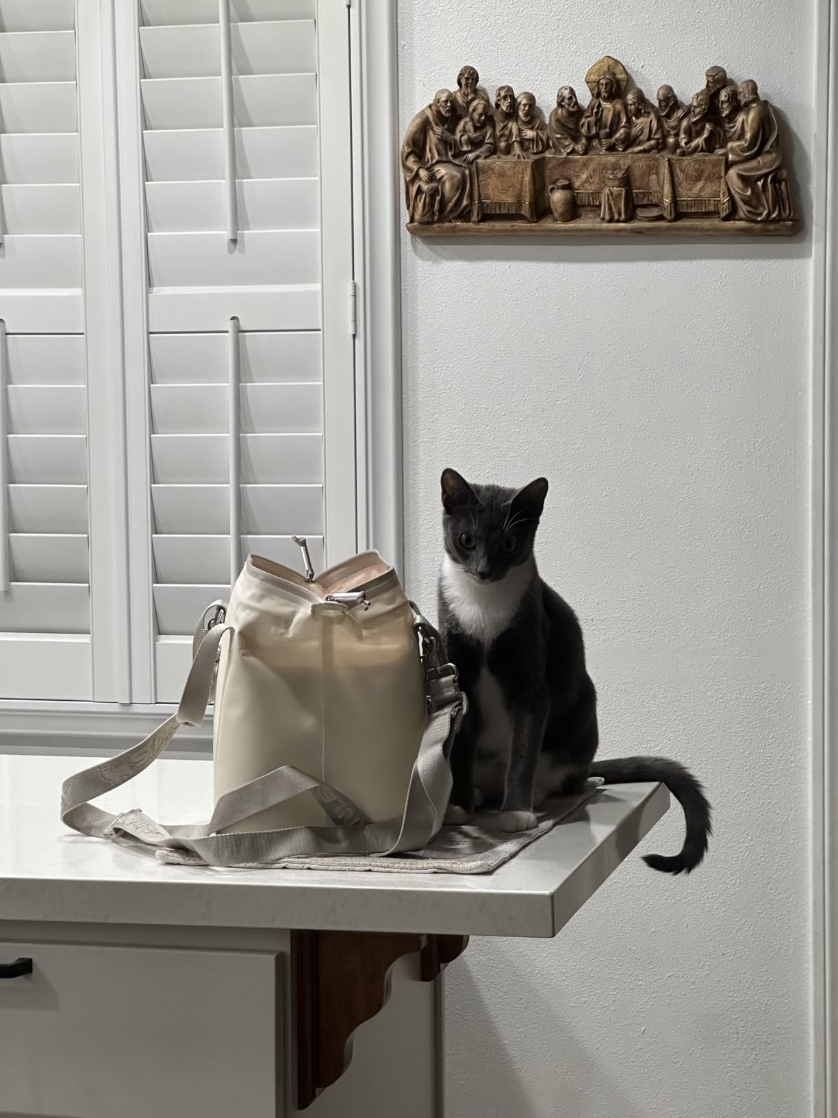Stanley All Day Julienne Soft Cooler Bag and Lunch Box | Insulated Travel Bag with Zipper | BPA-Free customer photo 1