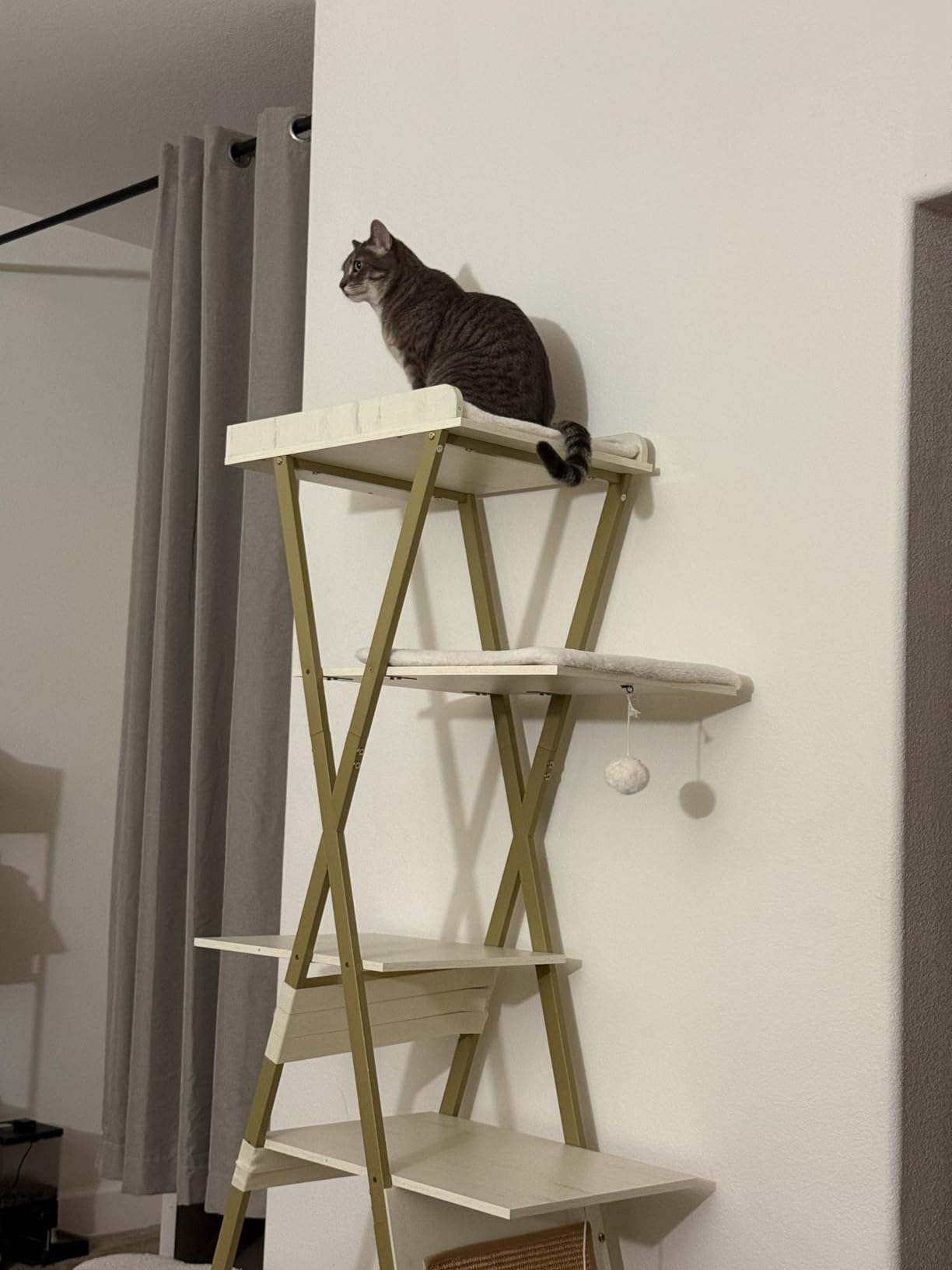 FourFurPets 72.4