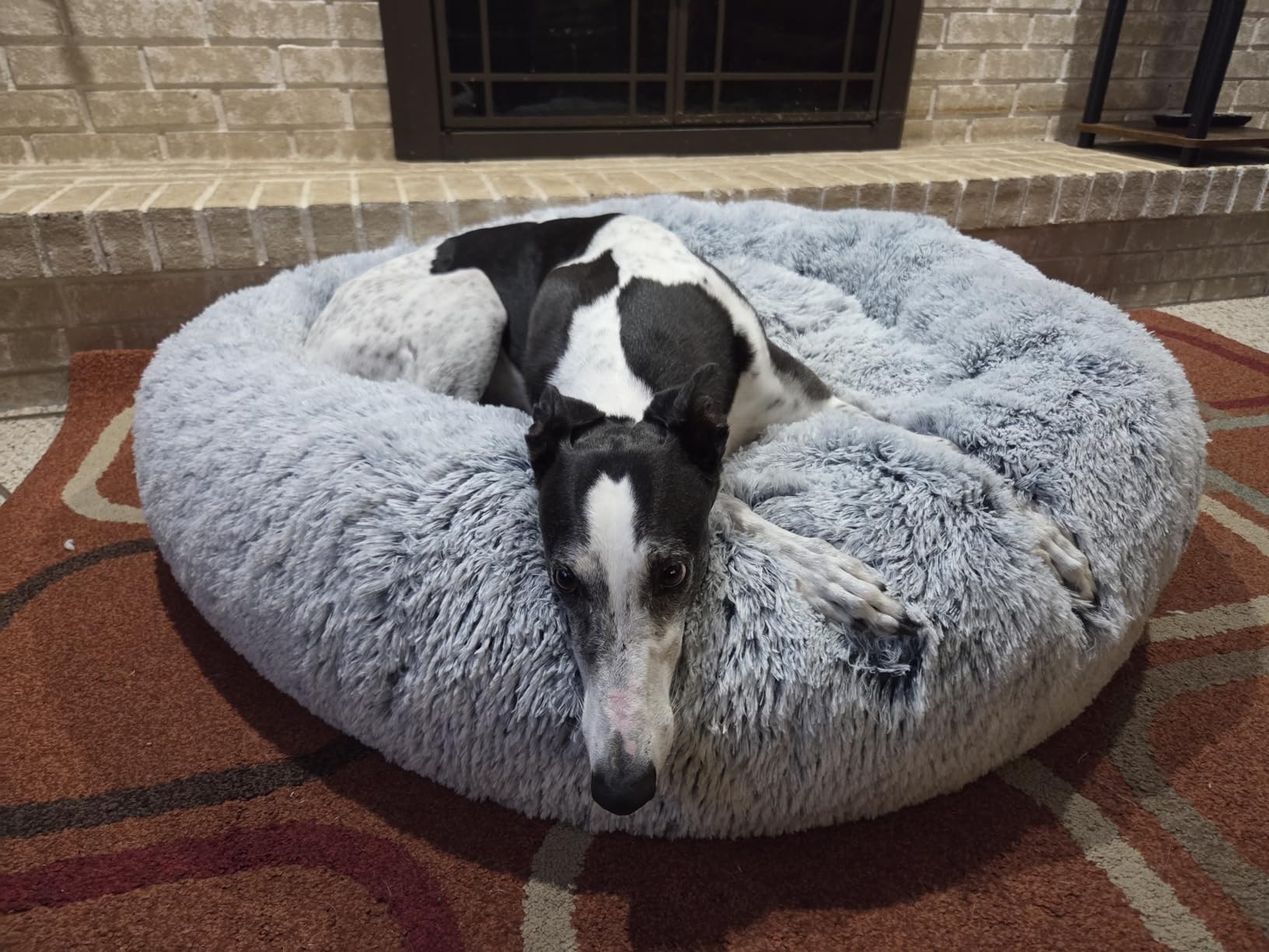 JOLLYVOGUE Calming Dog Bed Medium Size Dog, 31in Donut Washable Medium Pet Bed, Anti-Slip & Anti-Anxiety Fluffy Faux Fur Round Dogs Bed, Fits up to 45 lbs Pets (Smoke Grey) customer photo 2