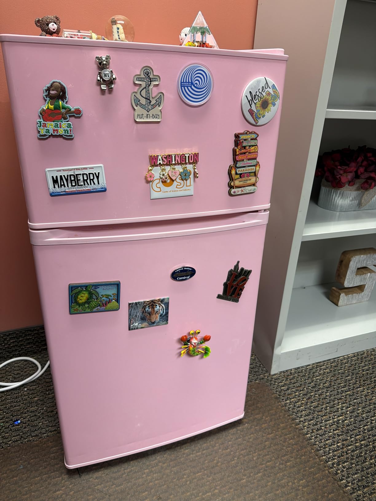 Mini Fridge with Freezer, 3.2 Cu.Ft, 2 Doors Compact Mini Refrigerator with Separate Freezer for Dorm, Bedroom, Office, Apartment with 7-Level Temperature Control, Removable Shelves (Pink) customer photo 1