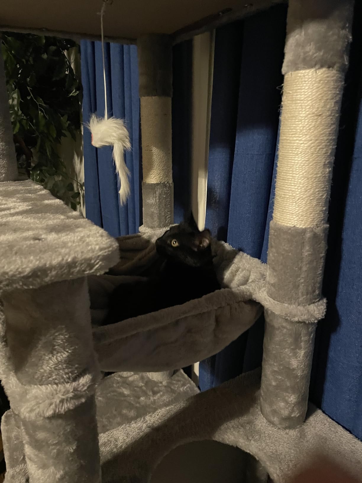 Globlazer Heavy Duty Cat Tree, 70 inch Sturdy Cat Tree for Indoor Cats Extra Large Cat Tower with Scratching Post, Hammock, Cat Condo for Adult Cats Kittens, F70 Pro, Light Grey customer photo 2