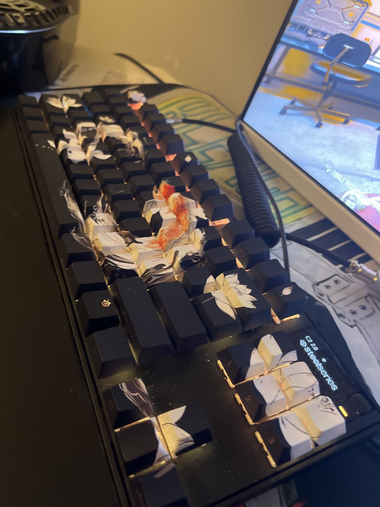 SteelSeries Apex Pro TKL Gen 3 OmniPoint 3.0 HyperMagnetic Switches - Adjustable Actuation - Rapid Trigger - Game-Ready Presets - Protection Mode - Rapid Tap/SOCD - OLED - RGB - PBT Keycaps - USB-C customer photo 1