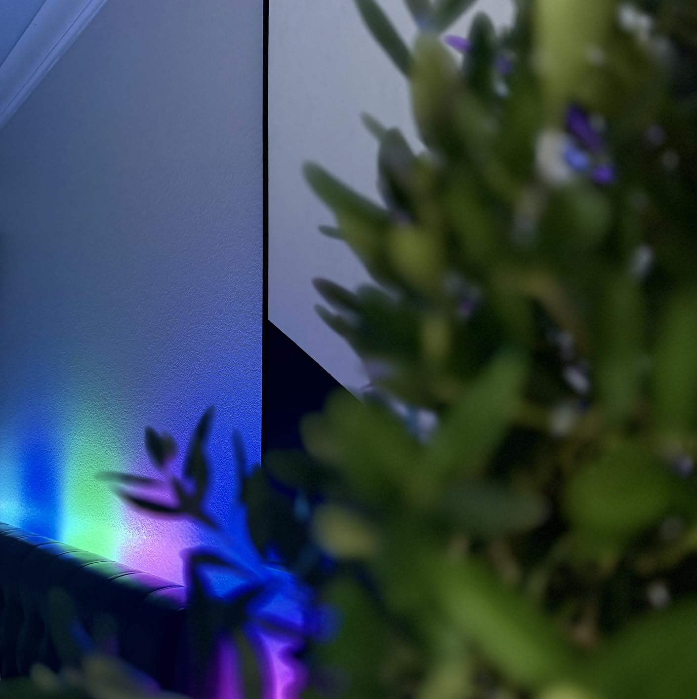 GE Cync Smart LED Light Strip with Dynamic Effects and Music Sync, Color Changing WiFi Lights, Indoor Light Strip, Compatible with Alexa and Google Home, 16ft and Power Supply customer photo 1