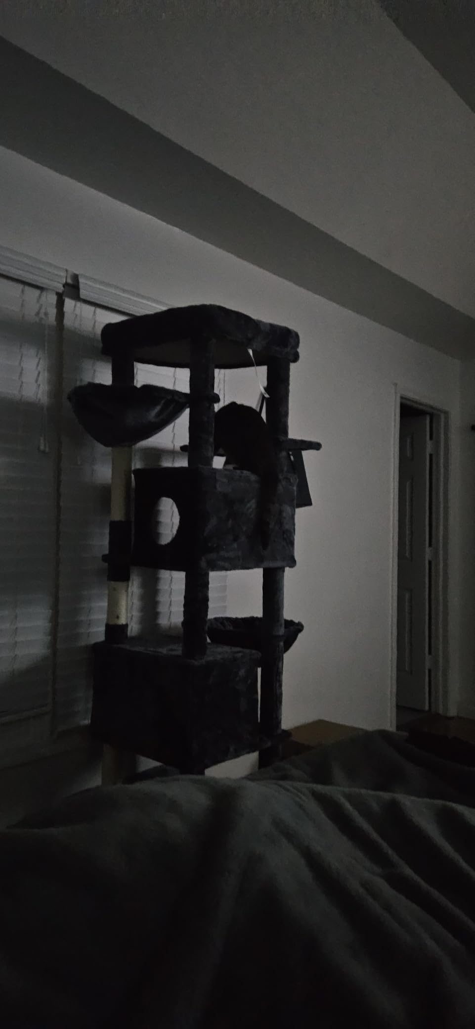 Globlazer Heavy Duty Cat Tree, 74in Sturdy Cat Tower for Large Cats Adult, Big Cat Tree with 7 Sisal Scratching Posts, 2 Padded Condos, 2 Dual-Ear Hanging Baskets, Enlarged Top Perch, S74, Dark Grey customer photo 1