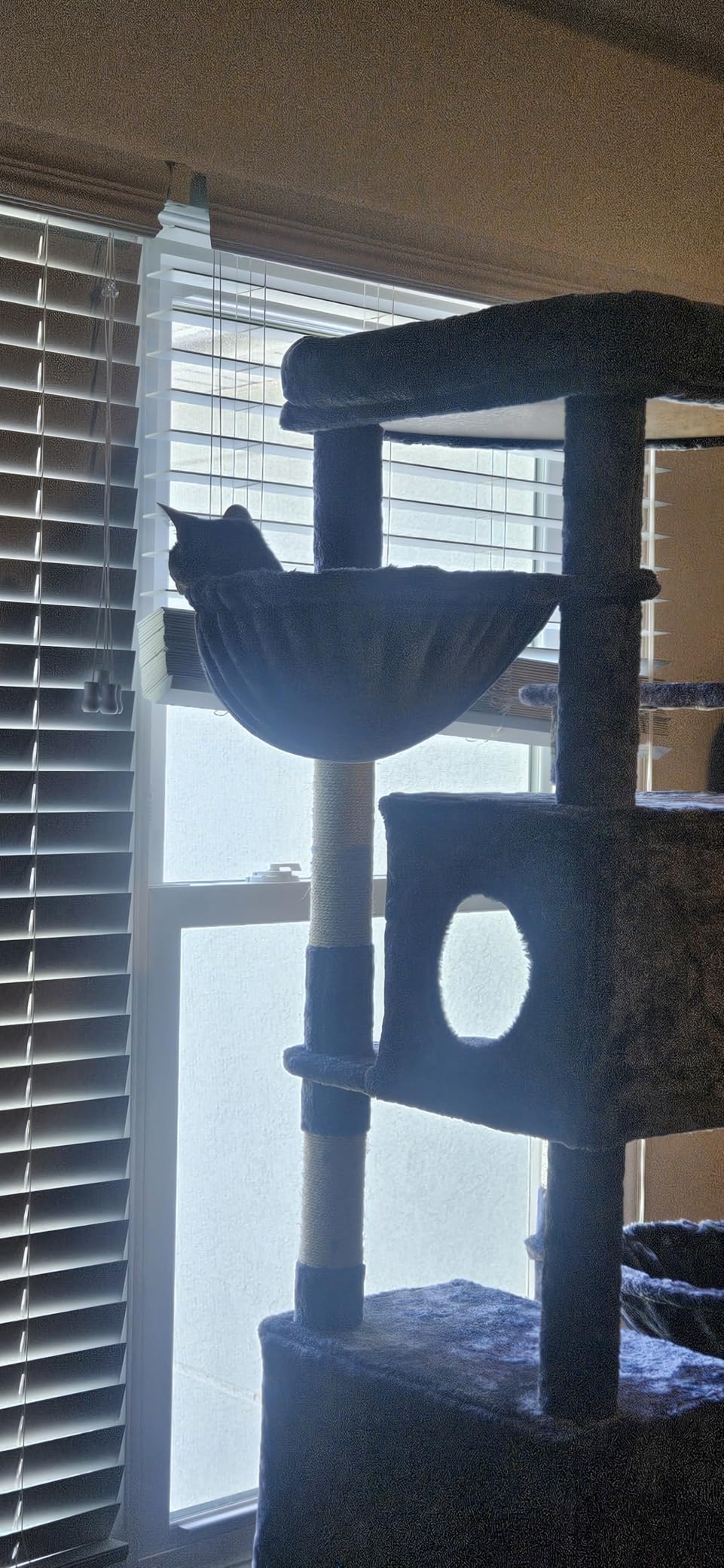 Globlazer Heavy Duty Cat Tree, 74in Sturdy Cat Tower for Large Cats Adult, Big Cat Tree with 7 Sisal Scratching Posts, 2 Padded Condos, 2 Dual-Ear Hanging Baskets, Enlarged Top Perch, S74, Dark Grey customer photo 2