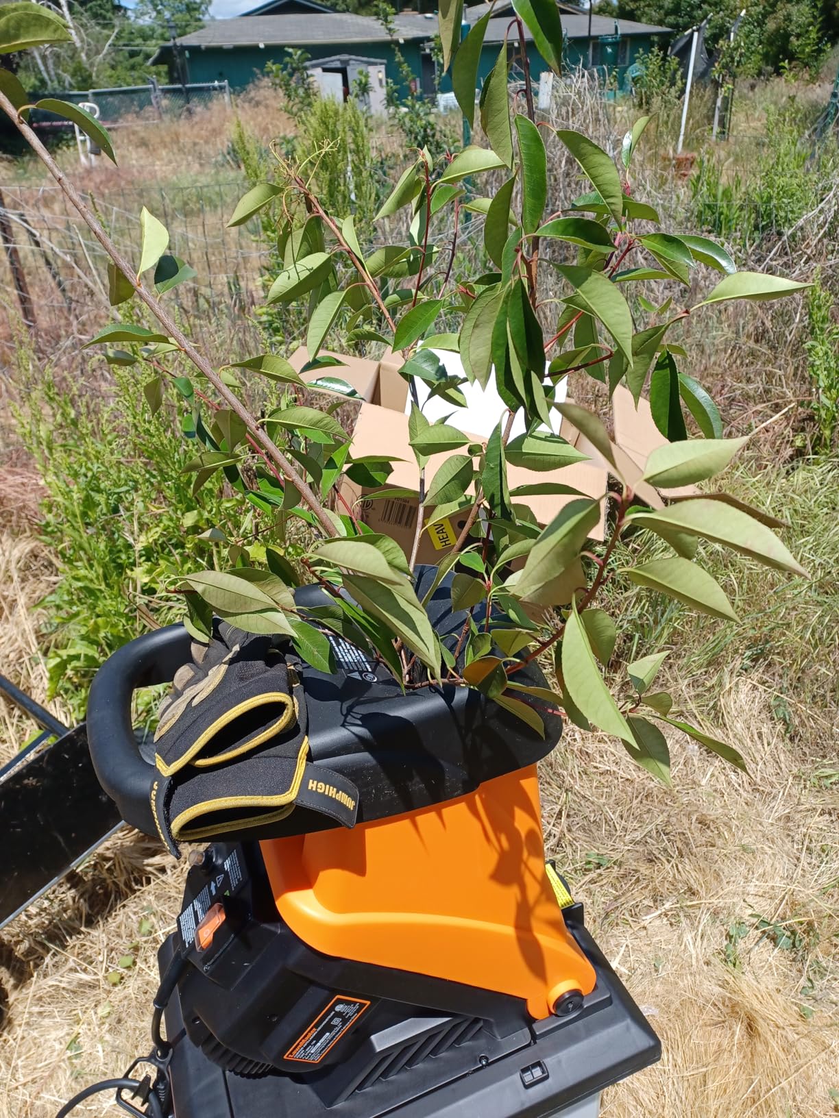 LawnMaster Electric Wood Chipper 1.8'' Cutting Diameter with Bag, FD1503 | 15-Amp, 14:1 Reduction customer photo 2