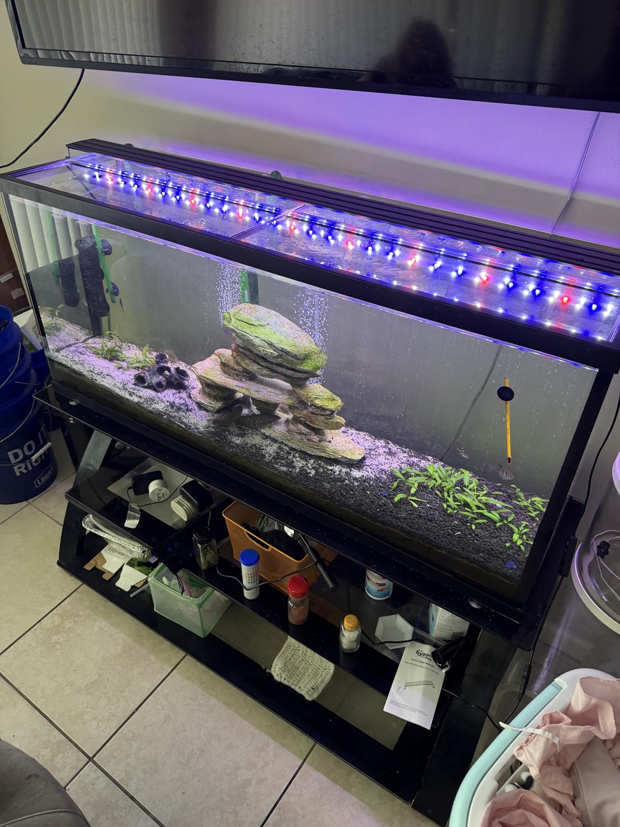 Imagitarium 20 Gallon High/55 Gallon Glass Aquarium Top customer photo 1