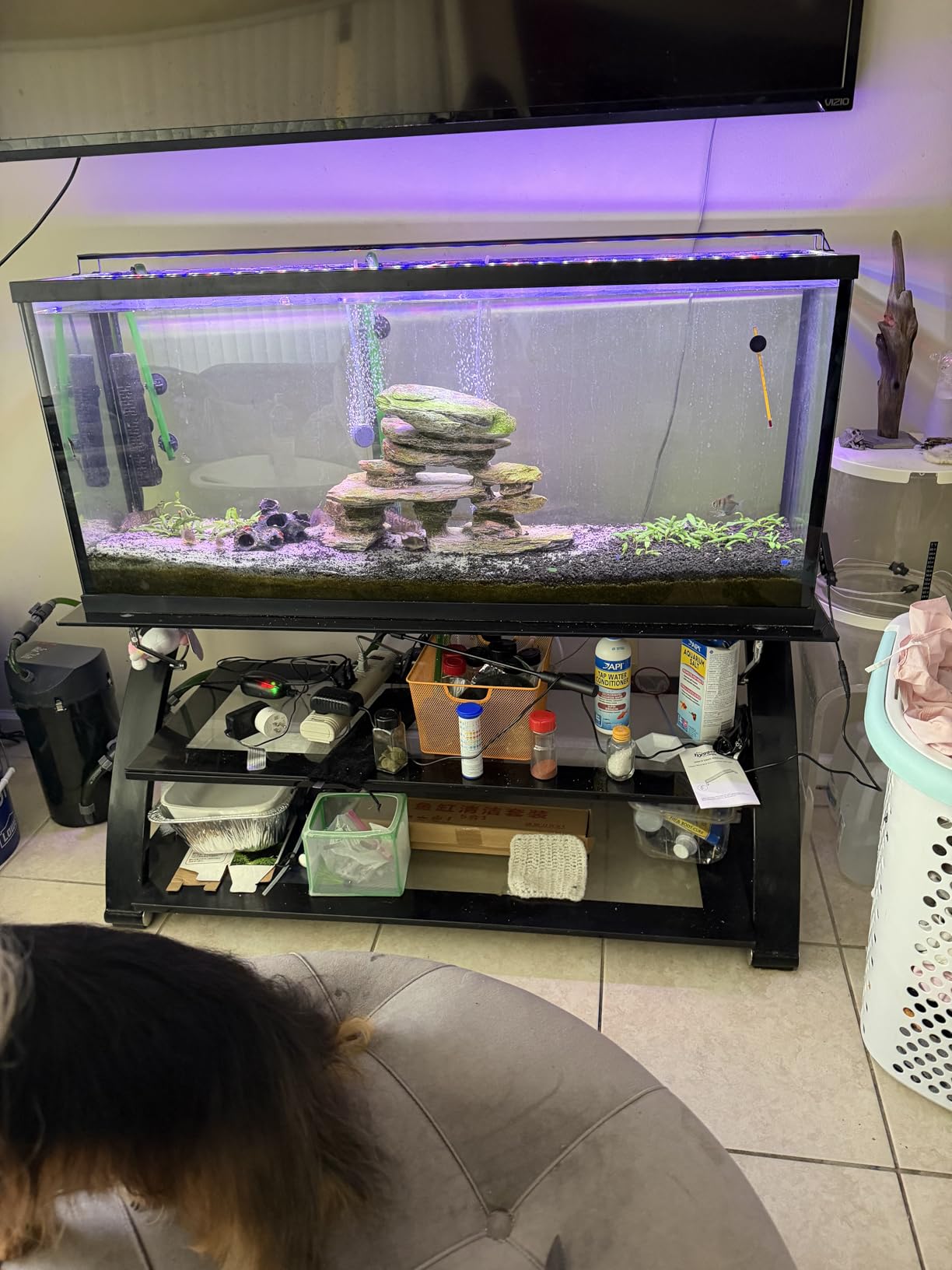 Imagitarium 20 Gallon High/55 Gallon Glass Aquarium Top customer photo 2