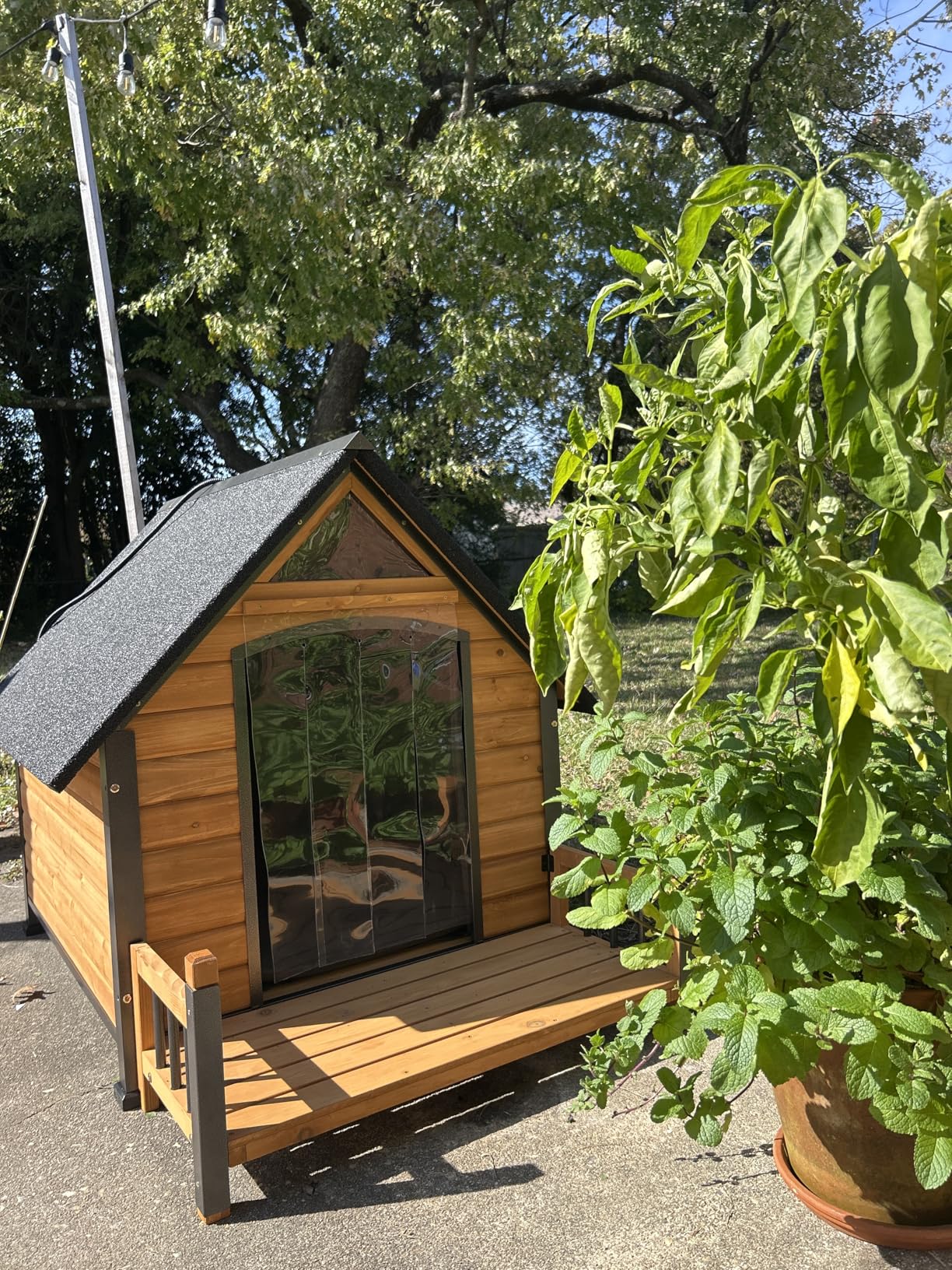 Aivituvin Heated Dog House Outdoor with Anti-Bite Metal Frame Insulated Indoor Dog Kennel 41.6'L Large Dog Cage for Small Medium Large Dogs with Heater and Insulated Liner for Winter customer photo 2