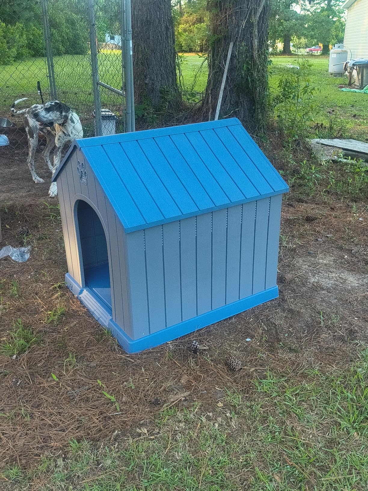 DRATO Large Dog House Indoor Outdoor Waterproof, Puppy Shelter with Air Vents and Elevated Floor, Sturdy Dog Kennel for Small to Large Sized Dogs, Easy to Assemble (Blue, 38.62x36.26x38.07 Inches) customer photo 1