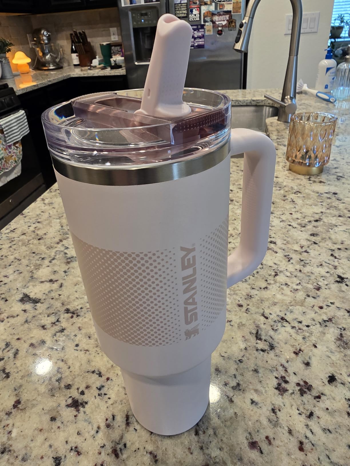 STANLEY Quencher ProTour Flip Straw Tumbler with Leakproof Lid 30 oz | Lichen customer photo 1