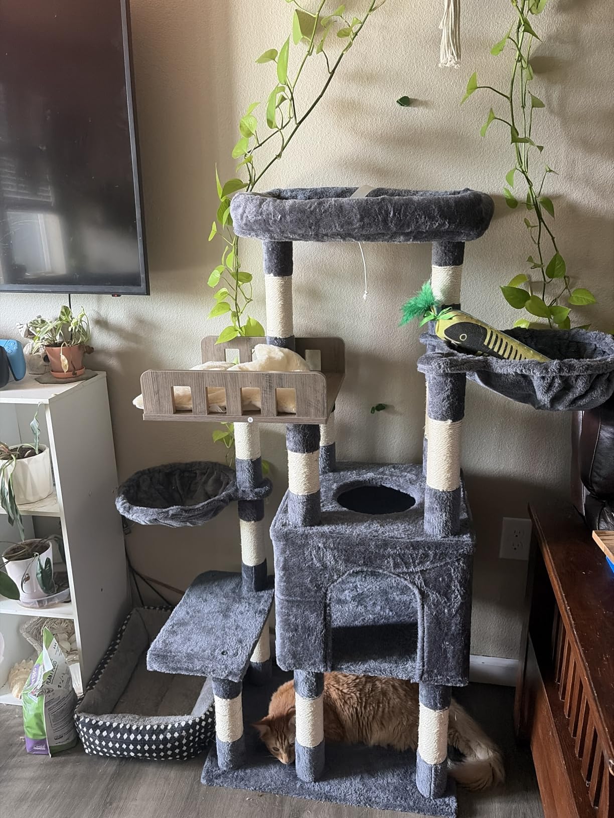 Gitelsnour Maine Coon Cat Tree, Heavy Duty Cat Tree for Indoor Cats Large Adult, Cat Tower for Large Cats 20 lbs+ with Hammock, 2 Big Perches, 2 Cat Condos, 15 Scratching Posts, Smoky Gray GCT033G customer photo 2