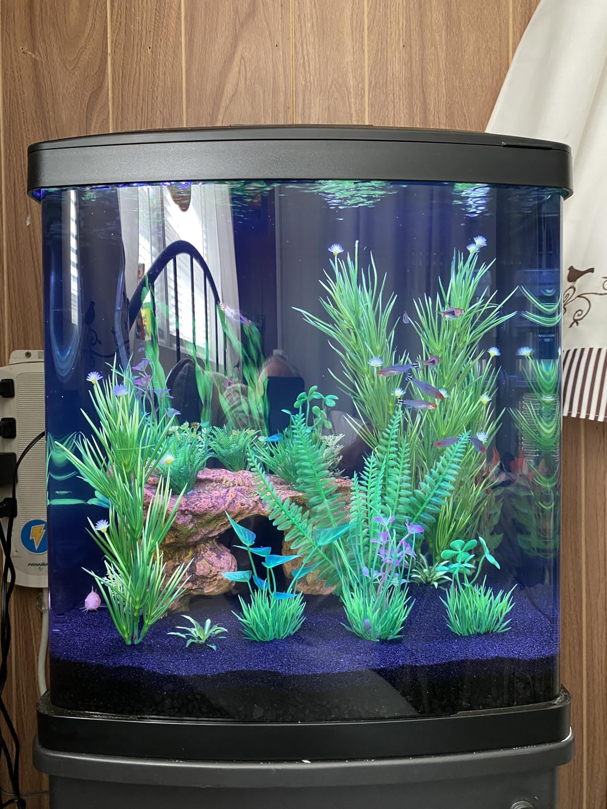 Coralife SMART BioCube Jr, Aquarium Kit, Wi-Fi and Bluetooth Compatible, for Saltwater and Freshwater Environments, 14 Gallons customer photo 2