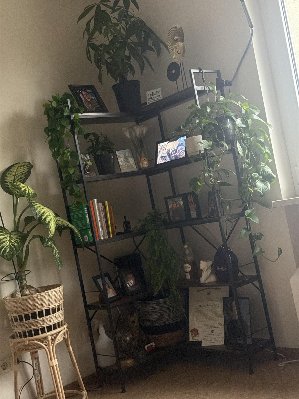 Huuger 5 Tier Bookshelf, L Shaped Corner Bookshelf with 10 Open Shelves, 49.4 Inch Straight Wide Bookcase with Metal Frame and Wooden Board, Adjustable Feet, Rustic Brown customer photo 1