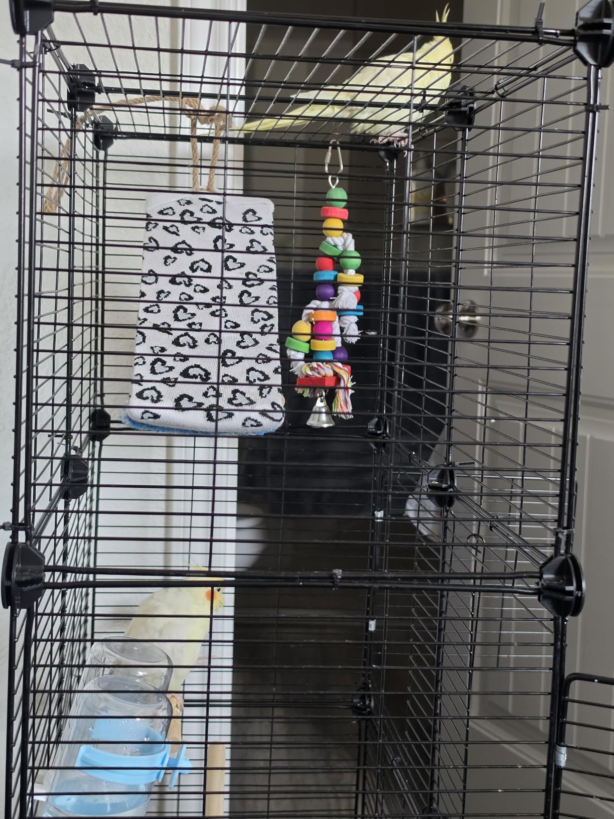 VISCOO Upgraded Encrypted 46-Inch Bird Cage, with Wooden Perches, Metal Parakeet Cage with Slide-Out Tray, Water Bottle&Feeder, Bird Cages for Parrot, Parakeets, Cockatiel, Lovebird, Small Mid-Sized Birds customer photo 1