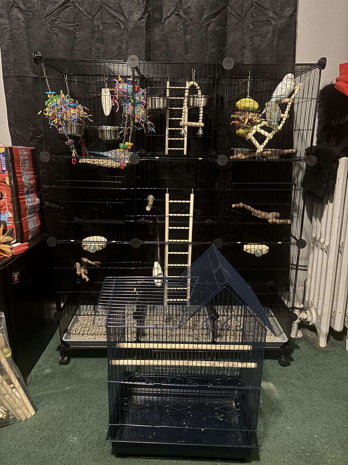 VISCOO Upgraded Encrypted 46-Inch Bird Cage, with Wooden Perches, Metal Parakeet Cage with Slide-Out Tray, Water Bottle&Feeder, Bird Cages for Parrot, Parakeets, Cockatiel, Lovebird, Small Mid-Sized Birds customer photo 2