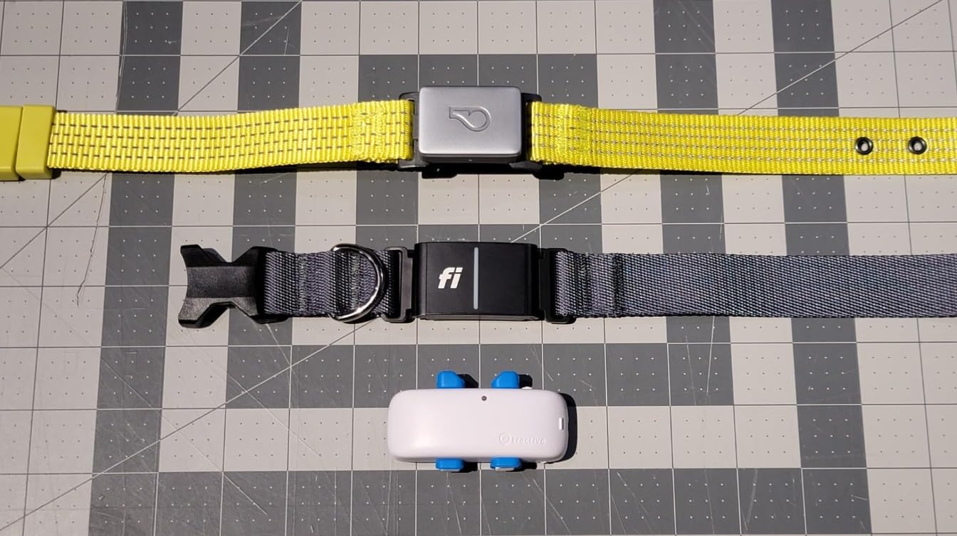 Fi New Series 3+ Smart Dog Tracker Collar [12 Month Membership Included] GPS Tracker for Dogs with Health & Behavior Monitoring, Escape Alerts, Waterproof, LED, Apple Watch Compatible (Blue, Large) customer photo 1