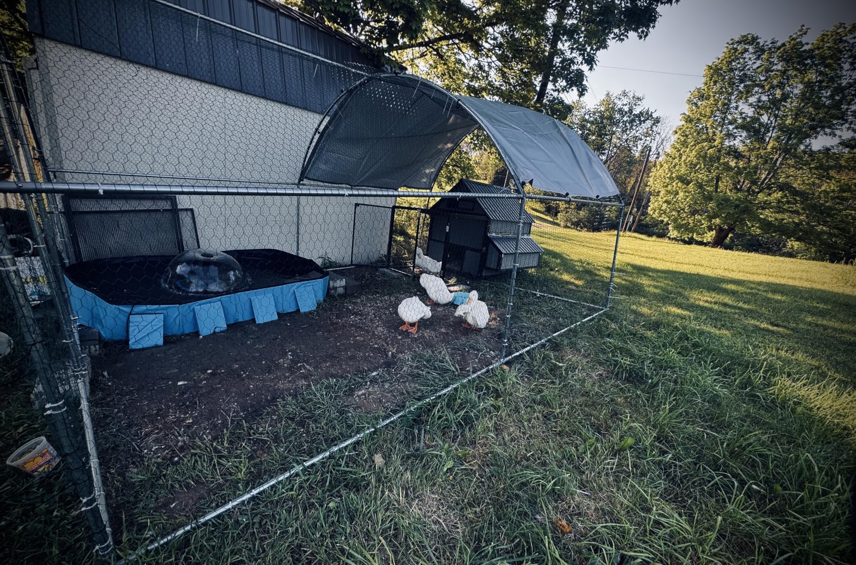 Large Metal Chicken Coop with Run for Yard with Waterproof &Anti-UV Cover,19.7 x 10 x 6.4ft Outdoor Walk-in Poultry Cage Chicken Run Pen with Roosting Perch, Hen Duck Rabbit House customer photo 1