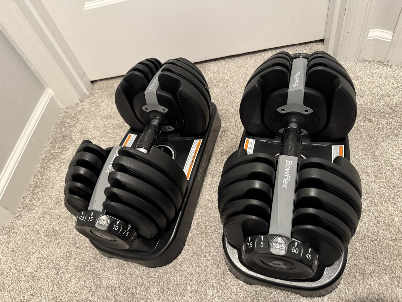BowFlex Results Series SelectTech Dumbbells (Single) customer photo 2