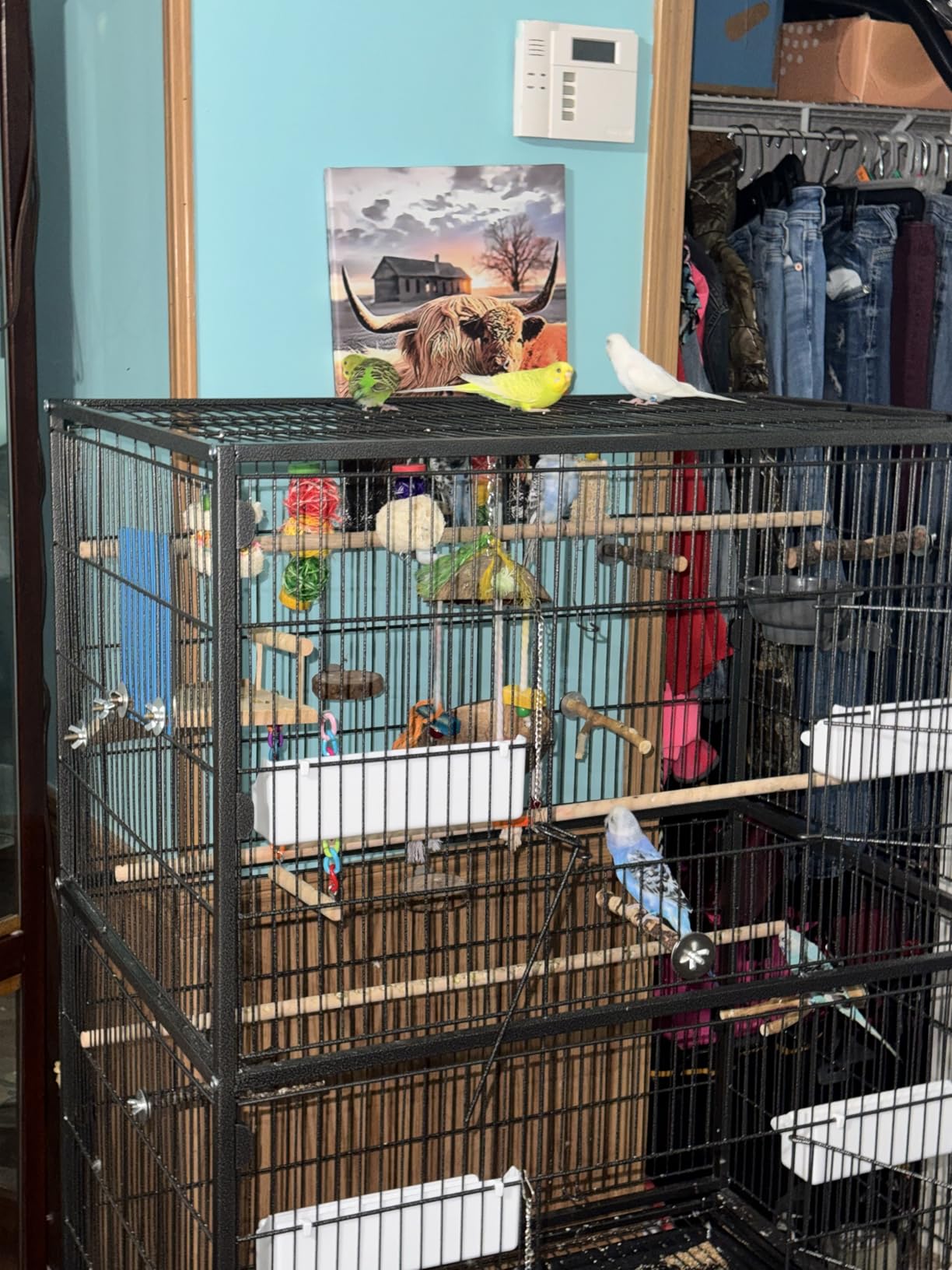VEVOR Bird Cage, 32.7 x 31.1 x 82.7 inch, Open Flat Top, Wrought Iron Bird Flight Cage with Perches, Slide-Out Tray, Plastic Feeders, for Cockatiel, Monk Parakeet, Amazon Parrot, African Grey Parrot customer photo 1