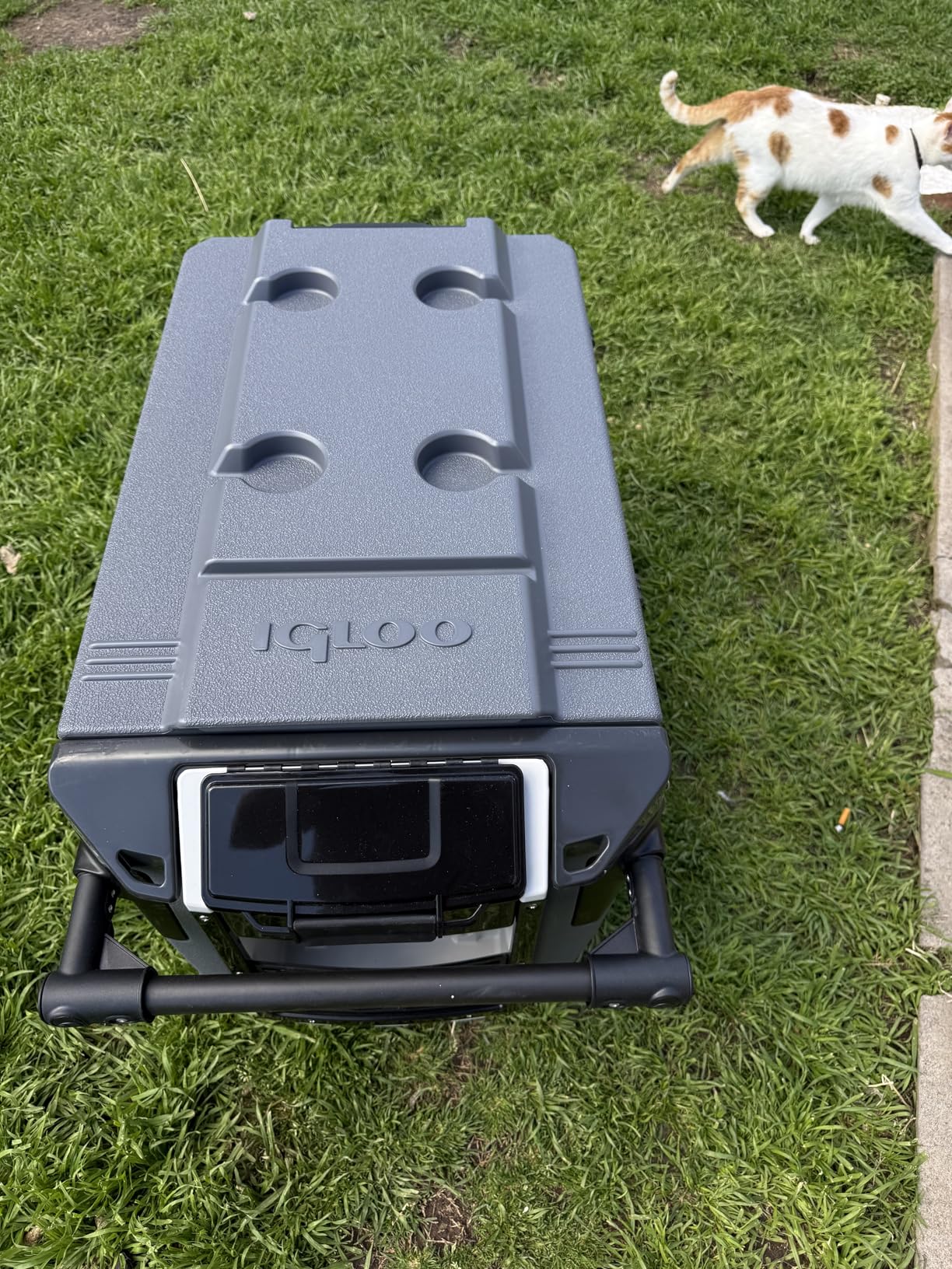Igloo Trailmate Journey 70Qt Wheeled Cooler, Insulated Hard Shell Ice Chest customer photo 2