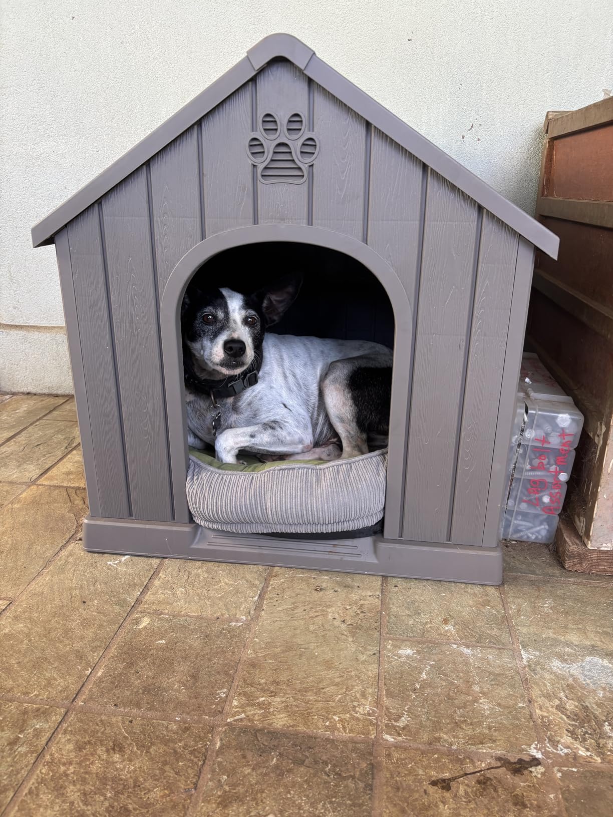 Bifanuo Outdoor Indoor Dog House for Small & Medium Dogs - Weatherproof Shelter with Elevated Floor, Hidden Vents & Tool-Free Assembly (Classic Grey, 26.18'' L x 24.03'' W x 25.98'' H) customer photo 2