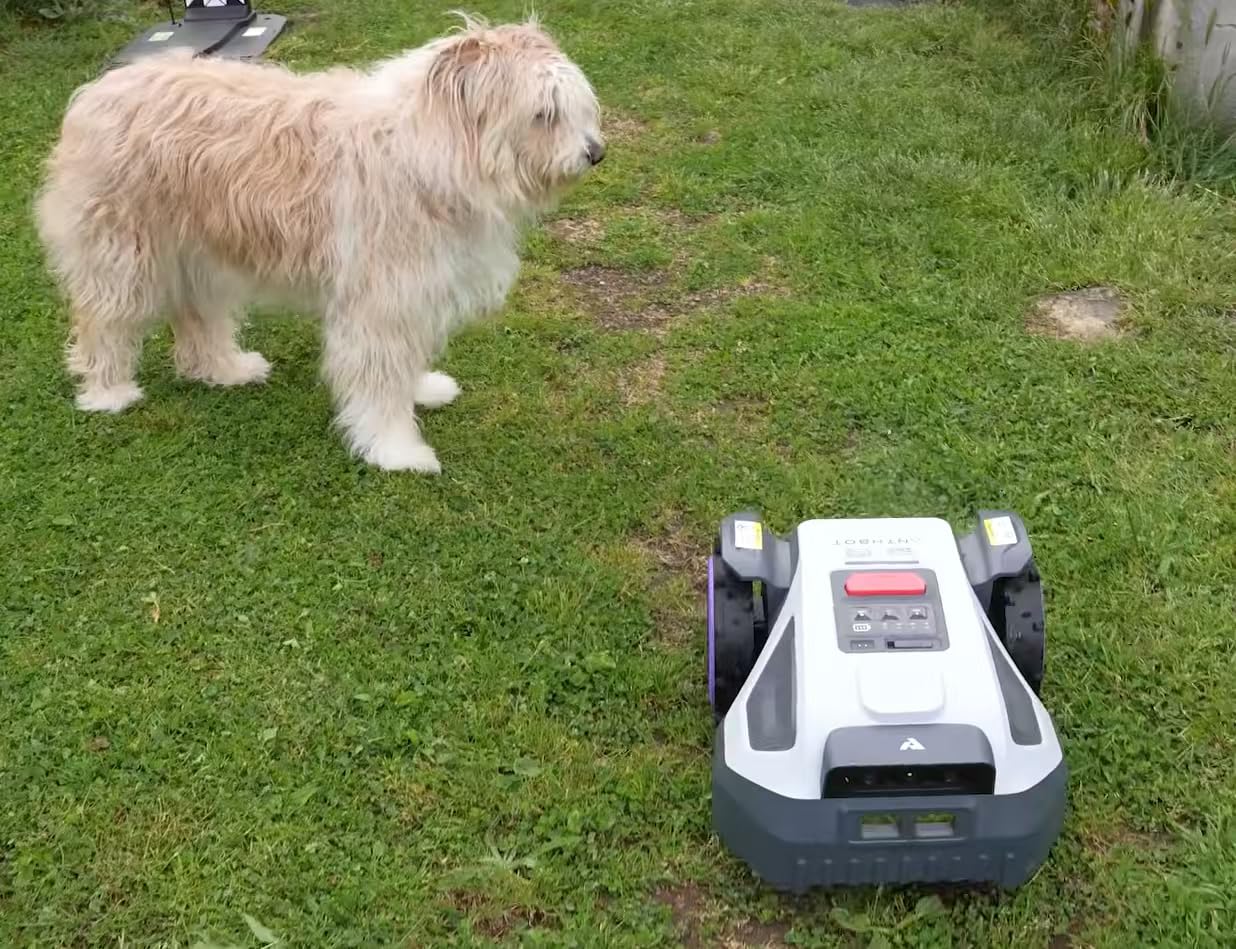 ANTHBOT M9 Robot Lawn Mower 1/4 Acre, Dual Vision+Full-Band RTK Robotic Lawnmower, No Perimeter Wire, App Control Obstacle Avoidance, 45% Slope, Cutting Height, Multi-Zone Mapping customer photo 1