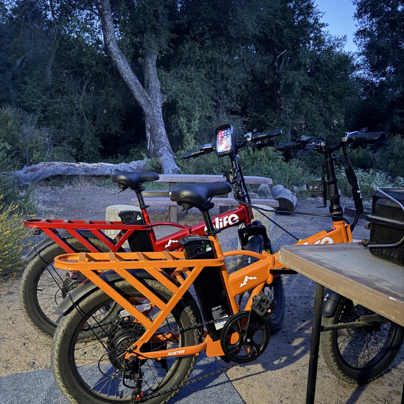 Qlife Hunter Foldable Electric Bike for Adults, Peak 1200W Ebike with 48V 13.5Ah Battery, 65-Mile Range, Heavy-Duty Rear Rack, 20-Inch Fat Tires customer photo 1