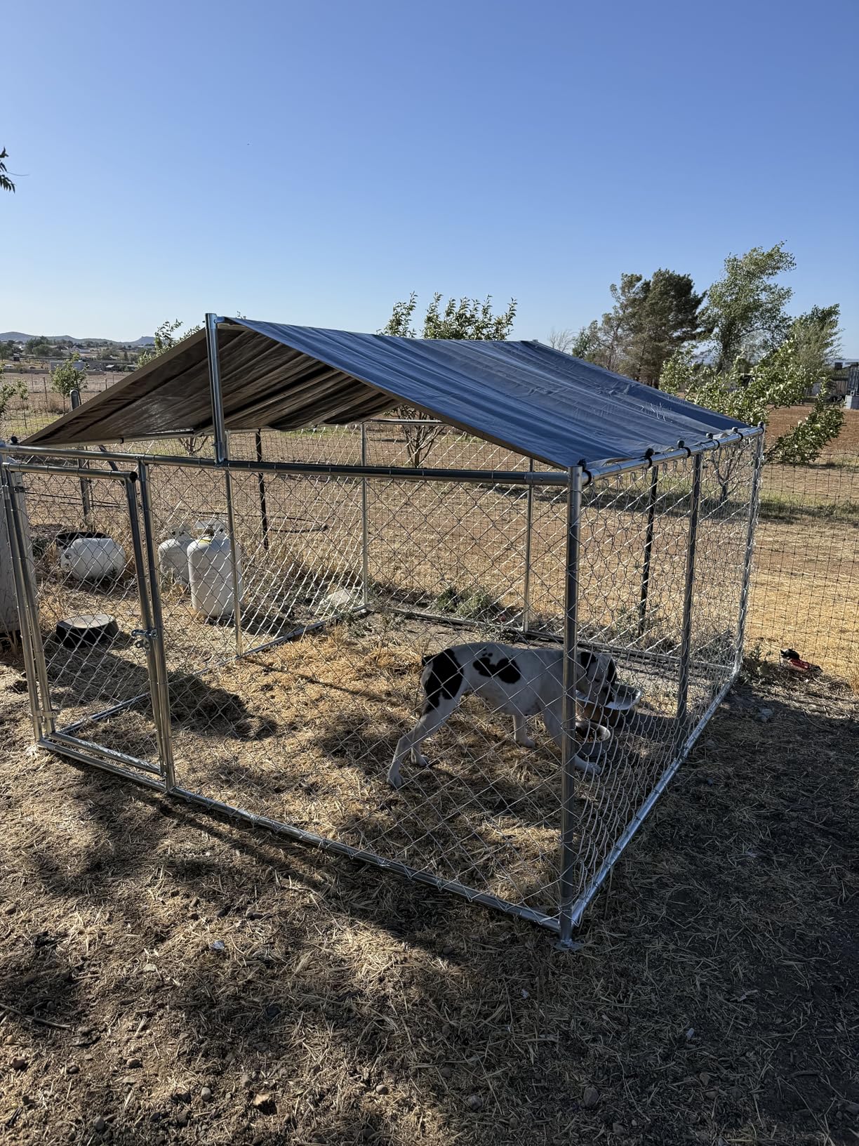 YITAHOME 7.5'x7.5' Outdoor Dog Kennel with Metal Dog Gate, Outdoor Dog Pens with Roof, Heavy Duty Dog Kennel for Backyard Farm Use customer photo 1