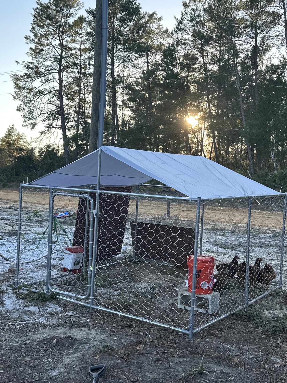 7.8x7.8FT Large Outdoor Dog Kennel Outside, Heavy Duty Dog Enclosure with Waterproof Cover Roof and Steel Fence Security Lock for Dogs customer photo 1