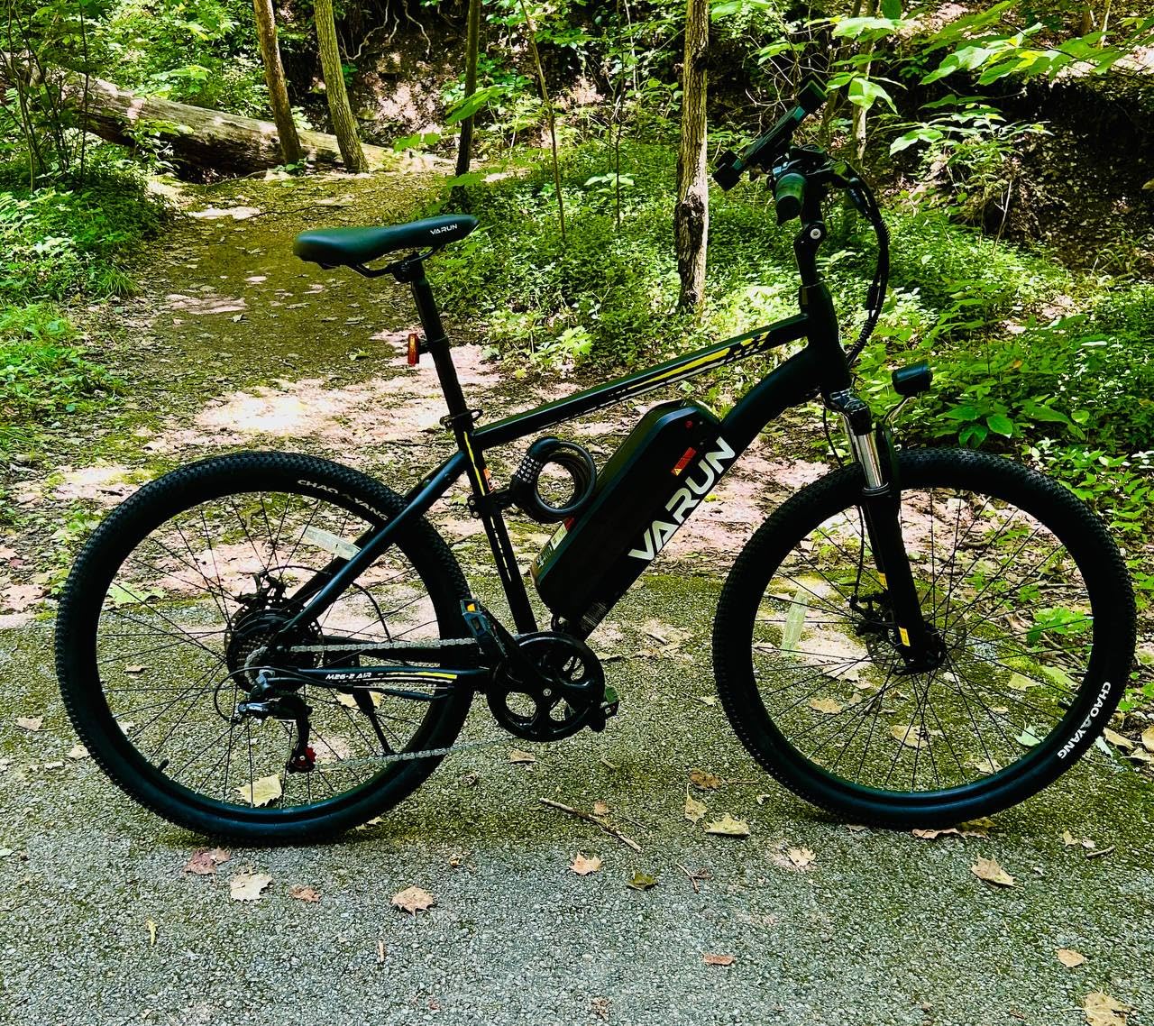 VARUN Electric Bike - 500W Peak Motor, 24/26