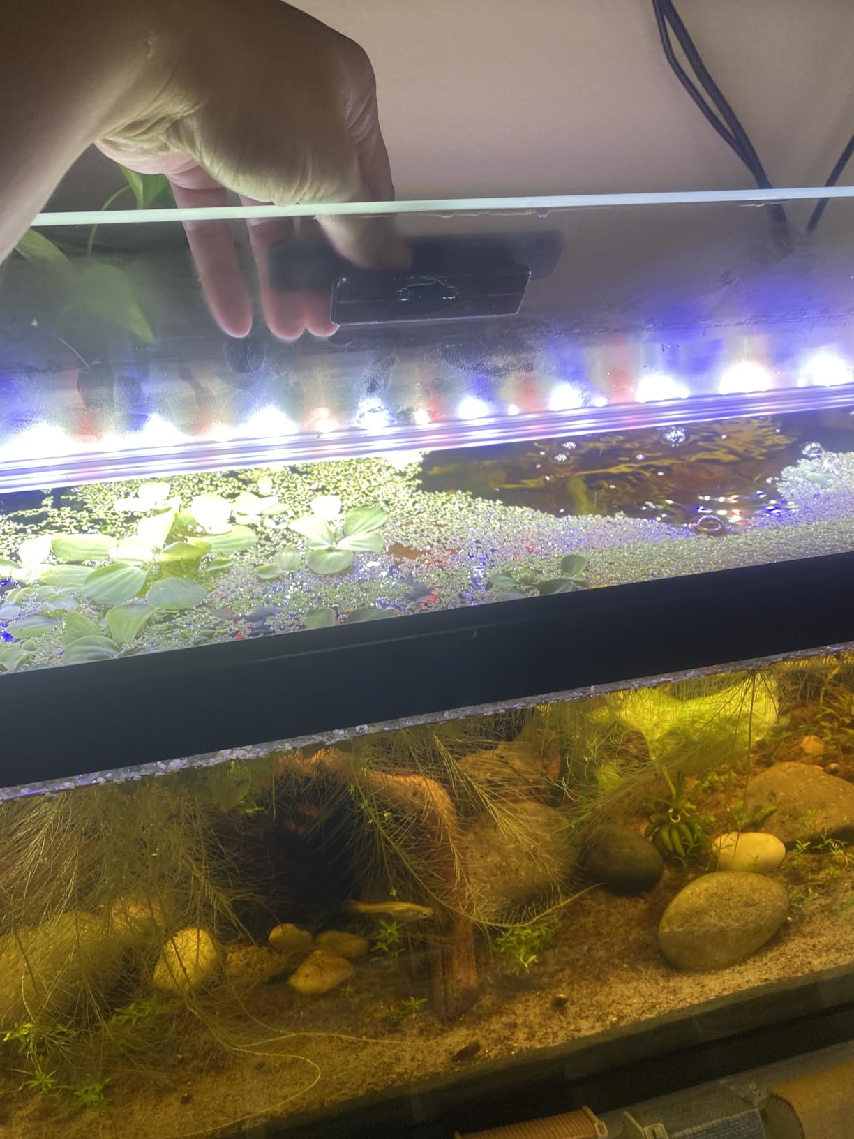 1PCS 23.07x11.69in Tempered Glass Canopy, Aquarium Fish Tank Hoods FITS for 15/20/55-Gallon Aqueon All Glass Marineland Perfecto Aquarium Fish Tank customer photo 2