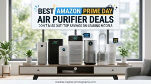 Best Amazon Prime Day Air Purifier Deals