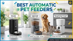 Best Automatic Pet Feeders