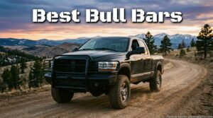 Best Bull Bars