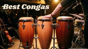 Best Congas